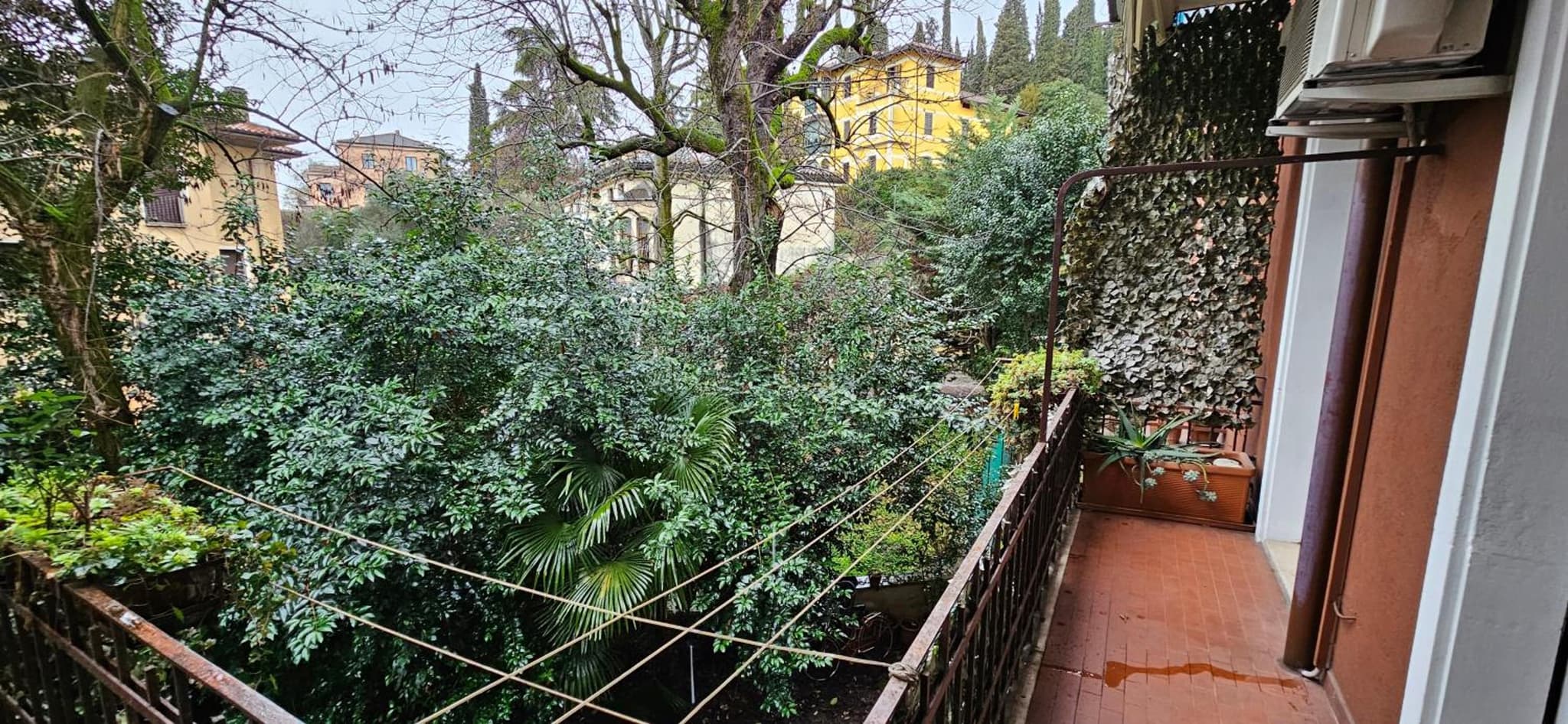 Lo Scoiattolo photo 2