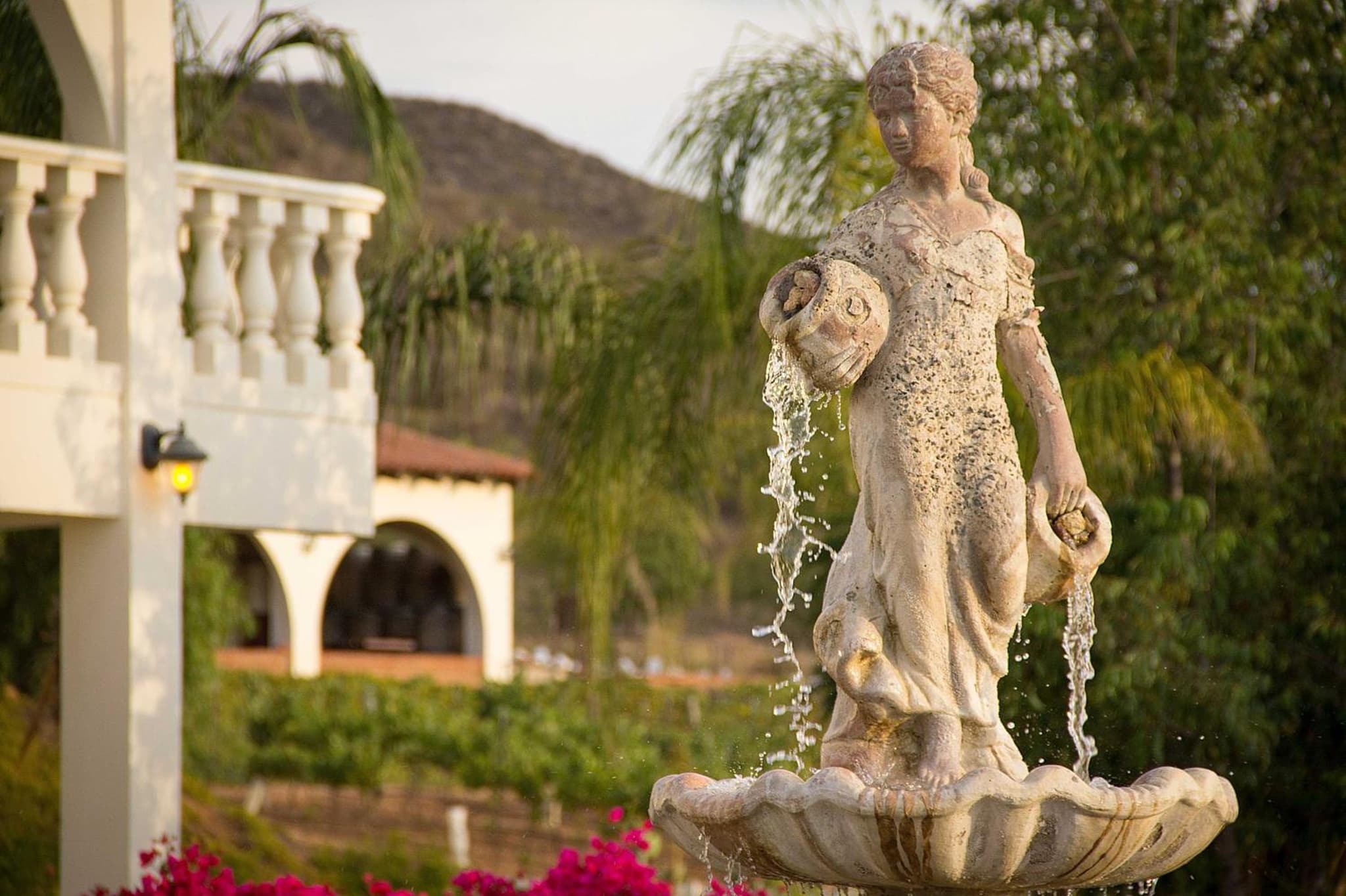 Hacienda Guadalupe Hotel photo 8