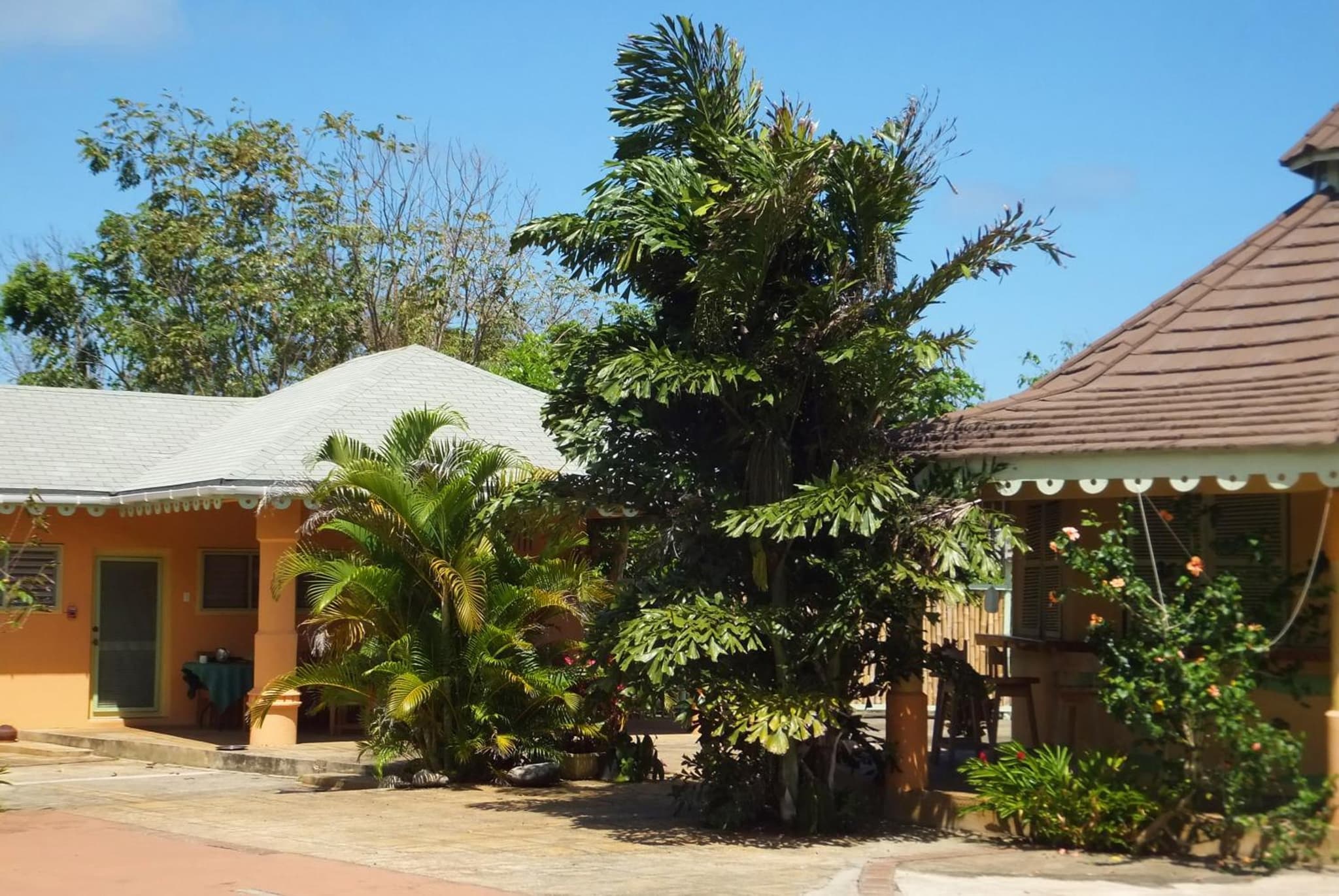 Pimento Lodge Resort photo 4