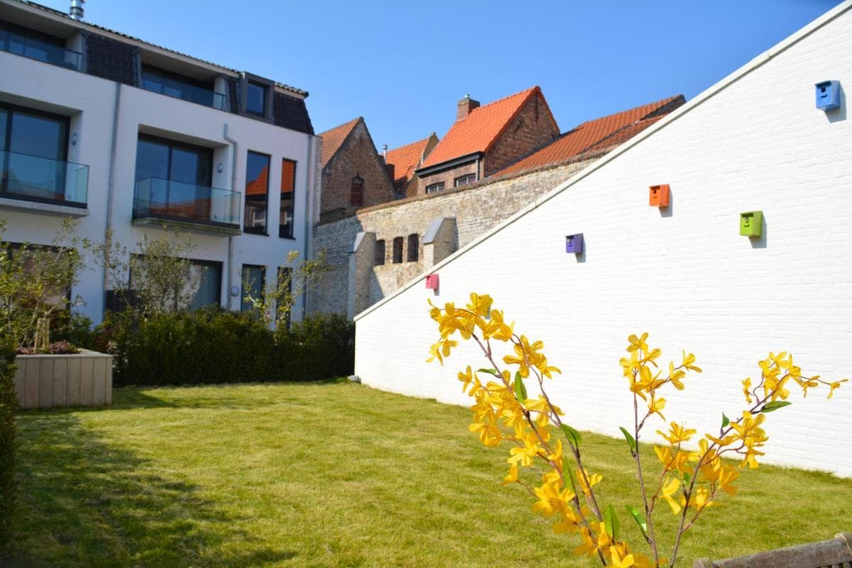 B&B Belgica photo 6
