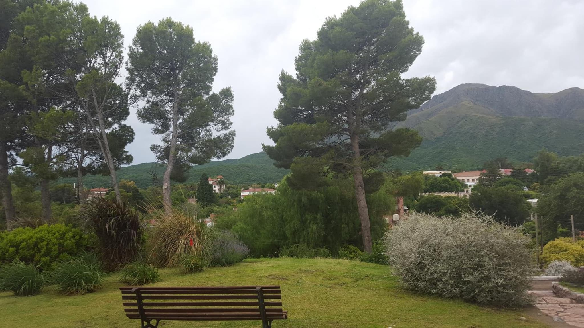 Montecassino photo 6