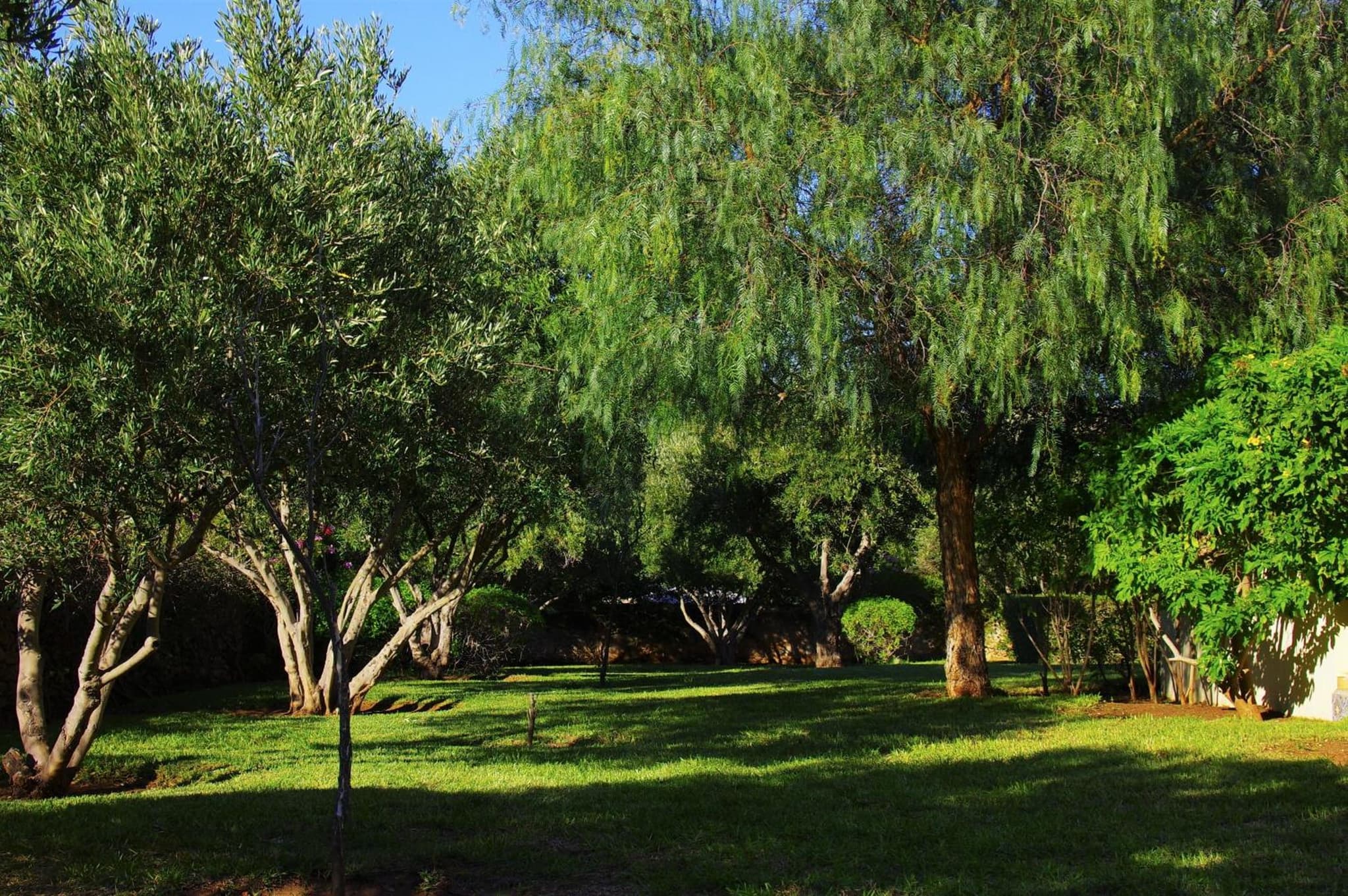 Essaouira Lodge photo 3