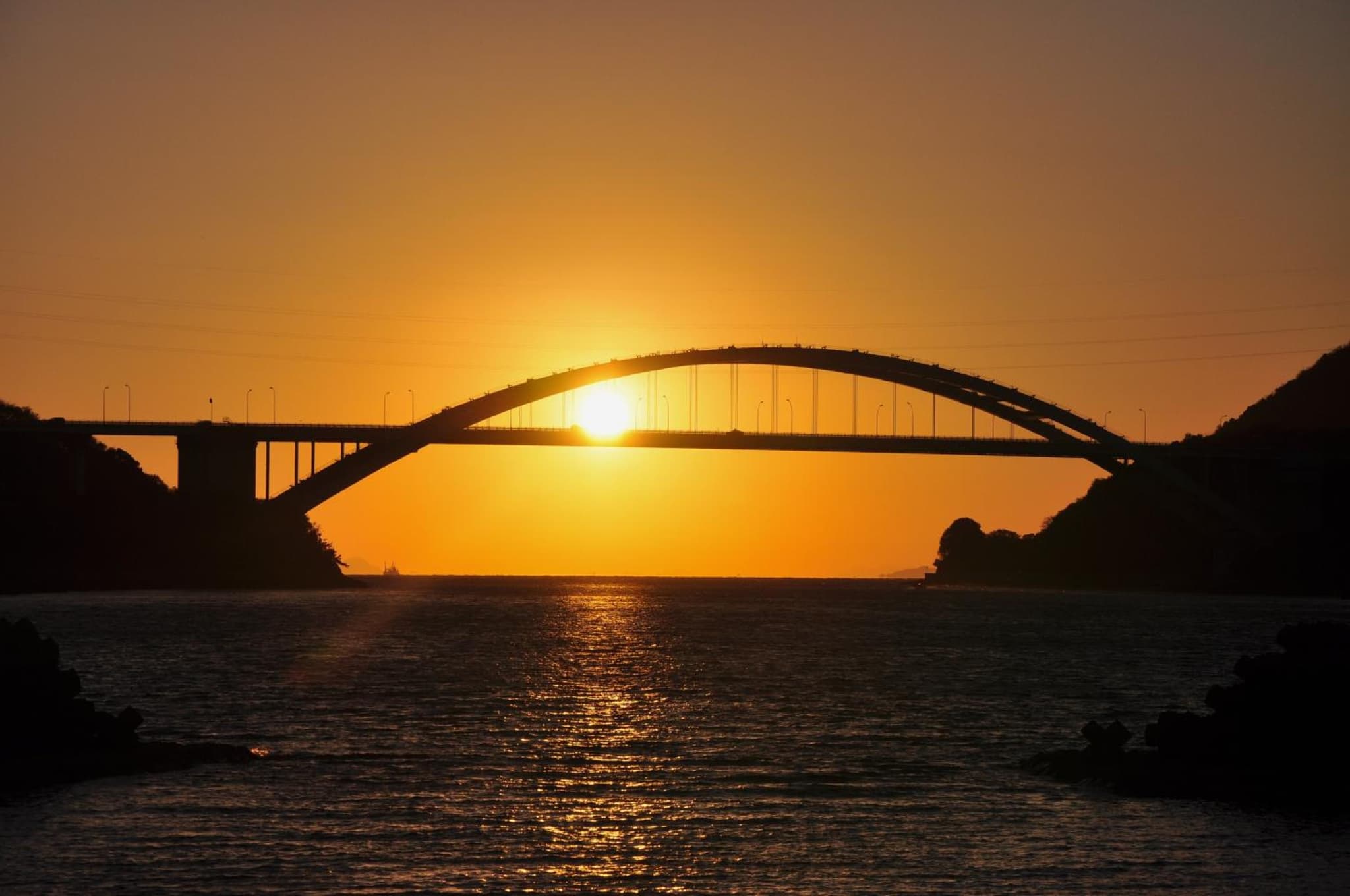 Sawaki photo 5