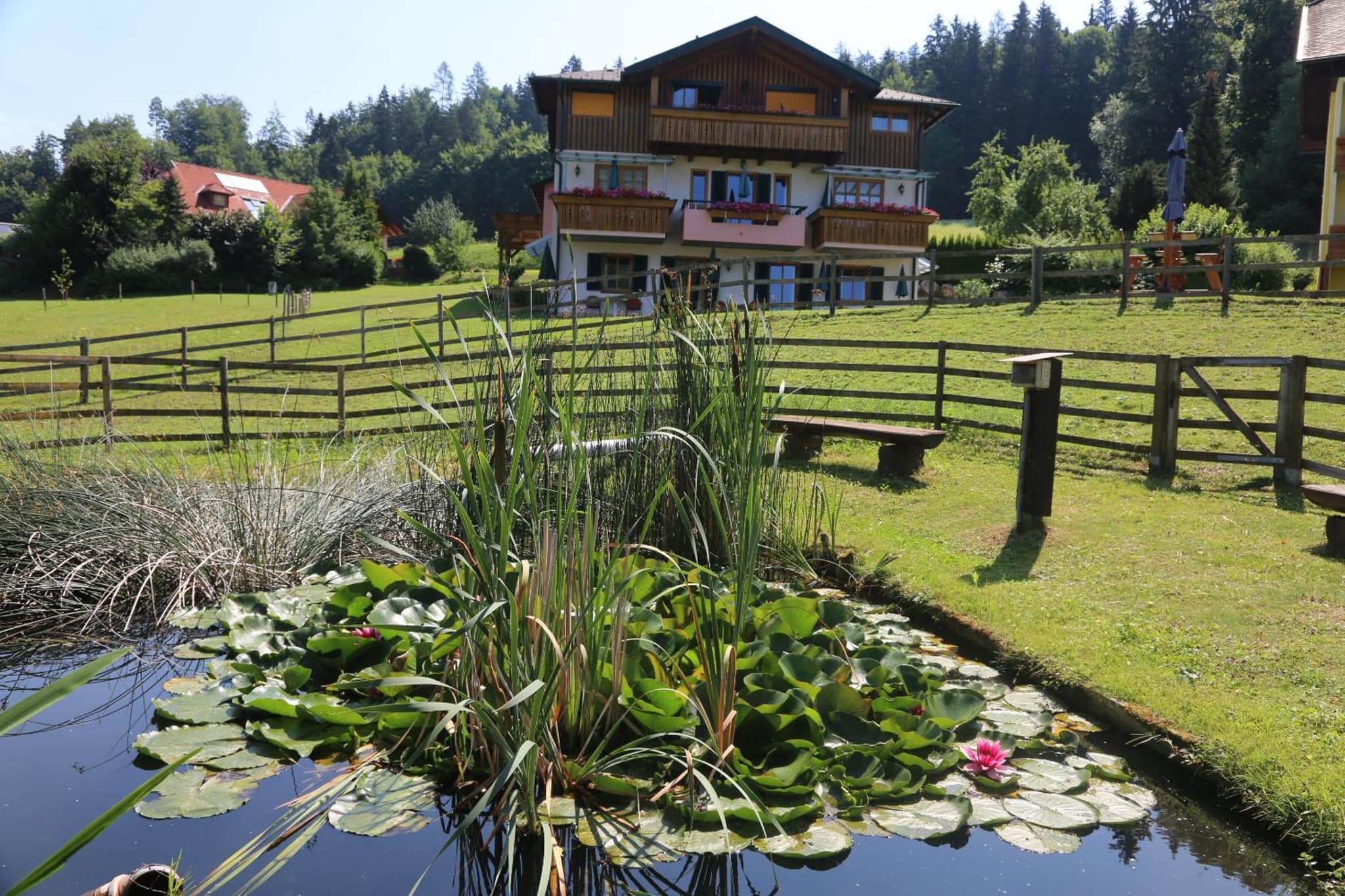 Hotel Fasching photo 5