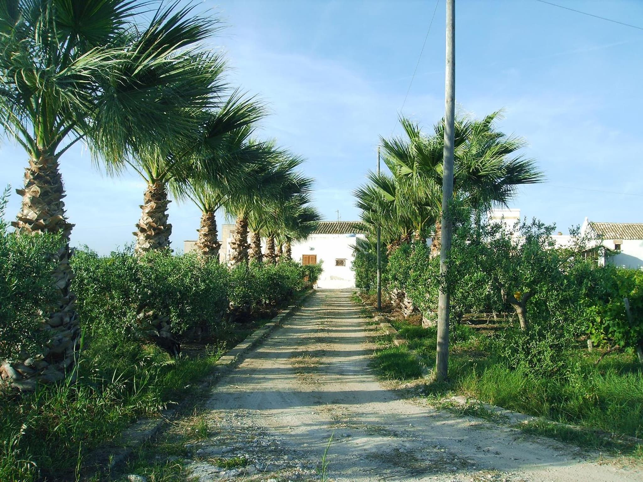 Casale Stagnone photo 6