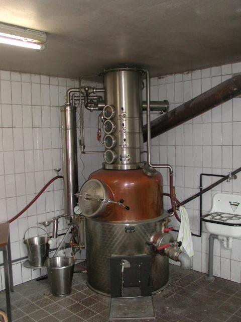 Rommelehof photo 7