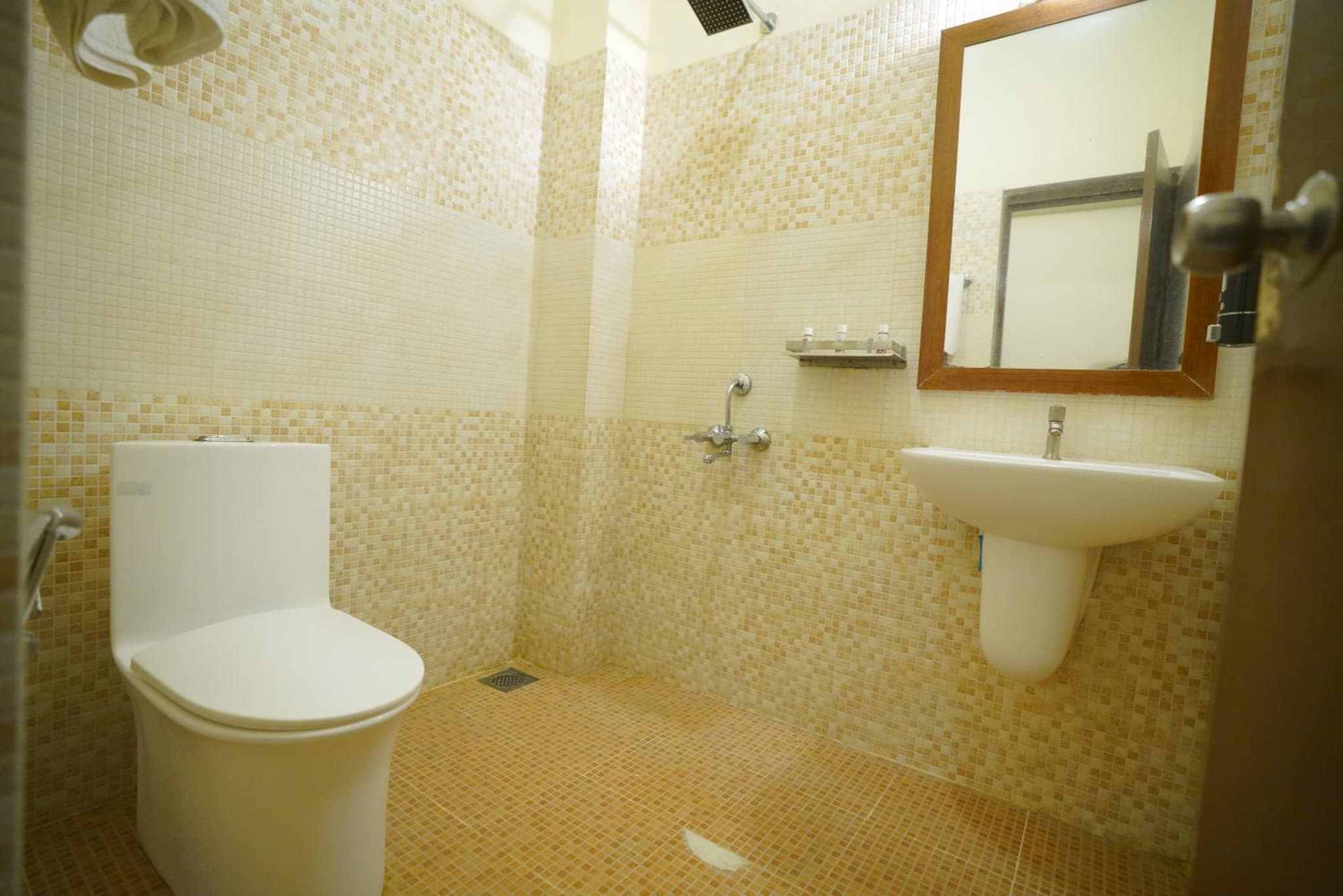 The Hotel Raja Palace photo 3