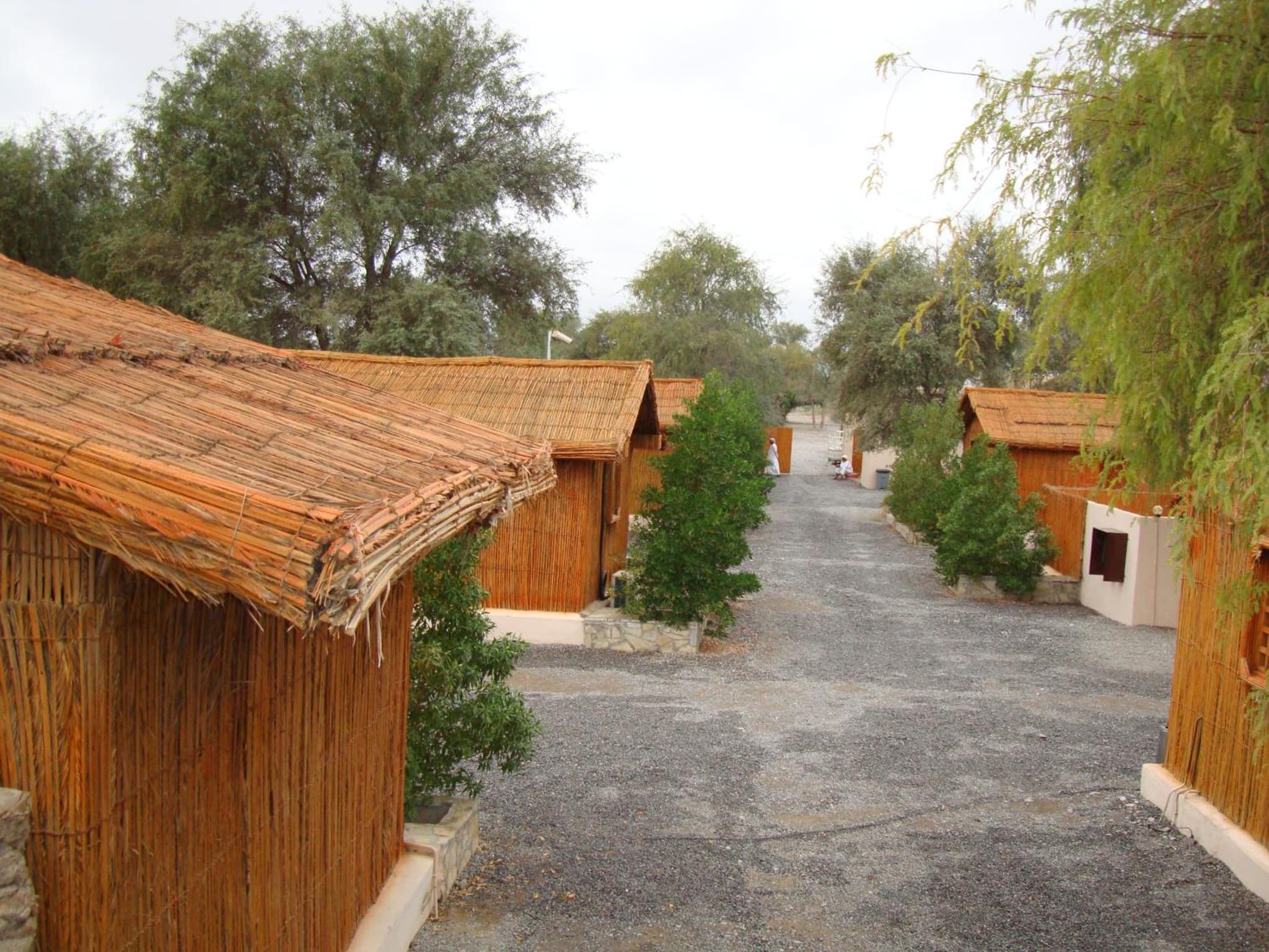 Noor Majan Camp photo 2