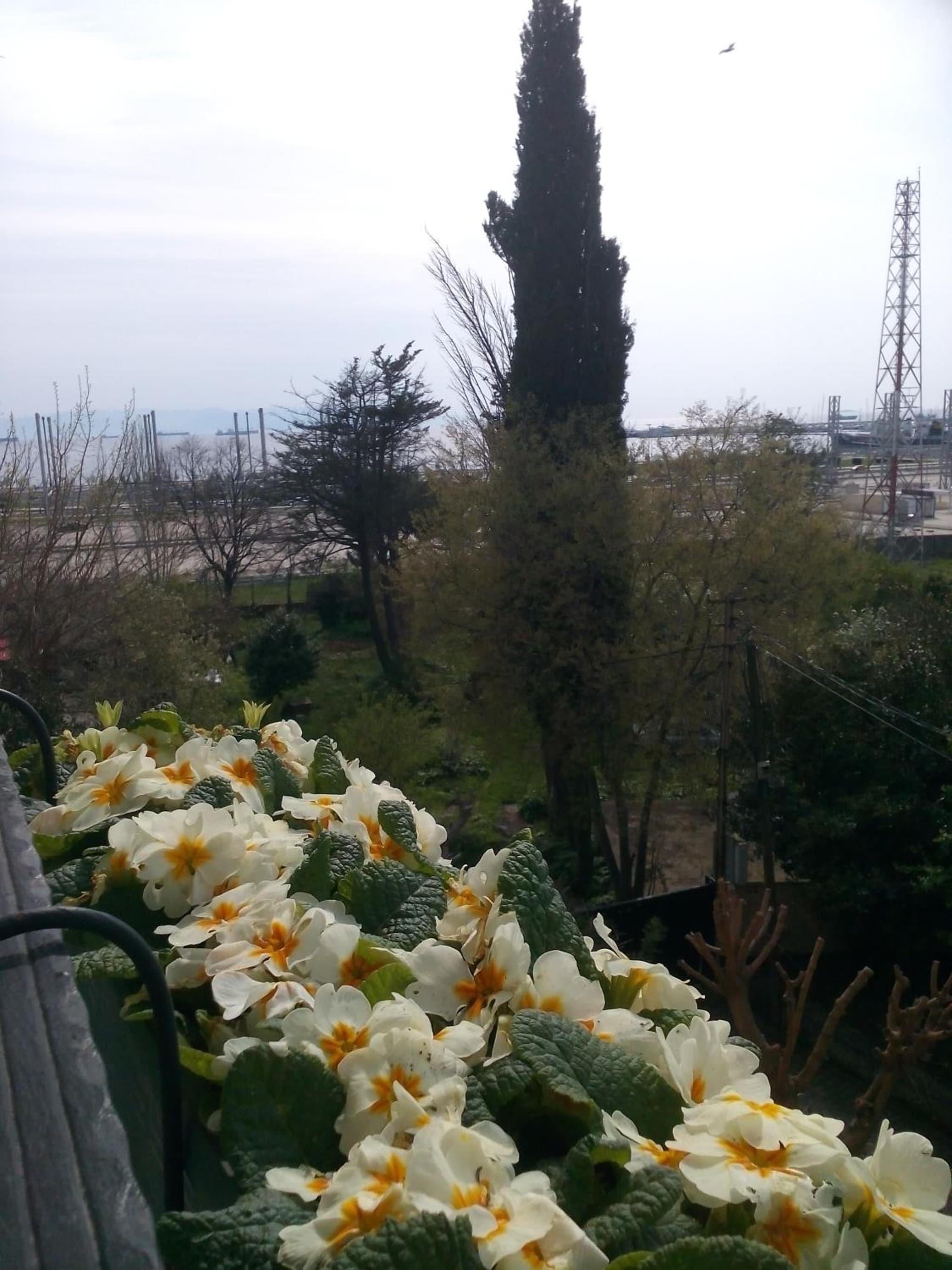 Pendik Marine Hotel photo 5