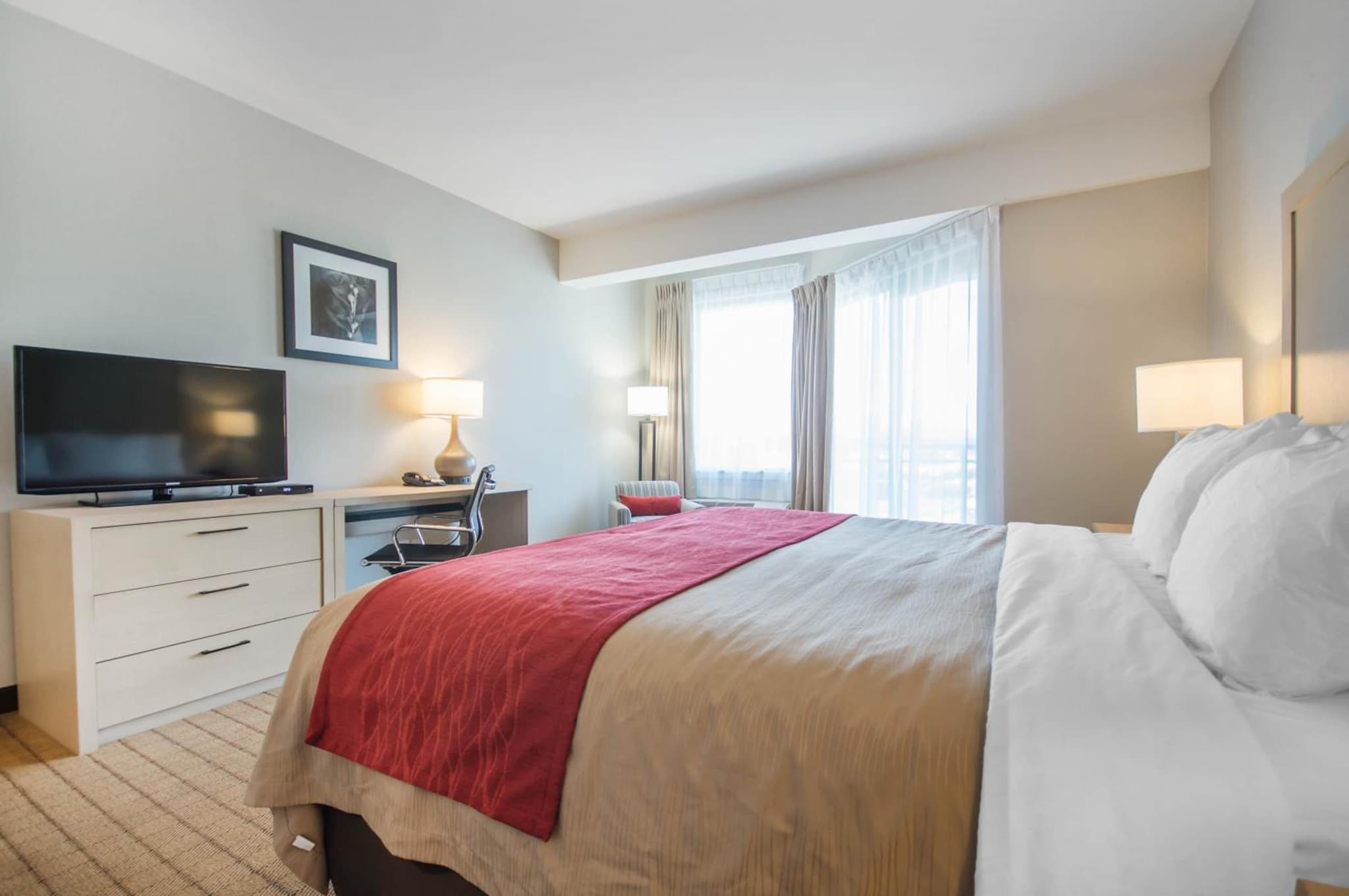 Comfort Inn & Suites photo 8