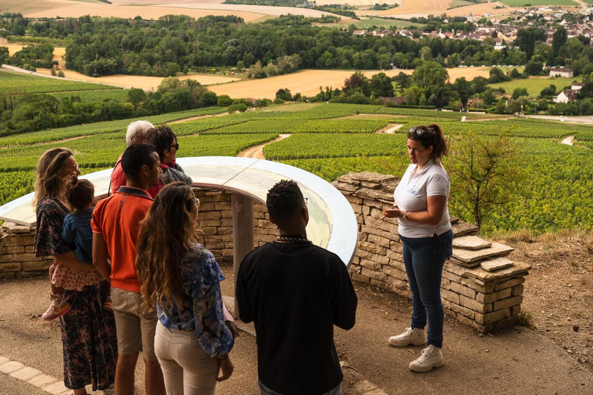 Appartements Domaine Gueguen Chablis photo 2