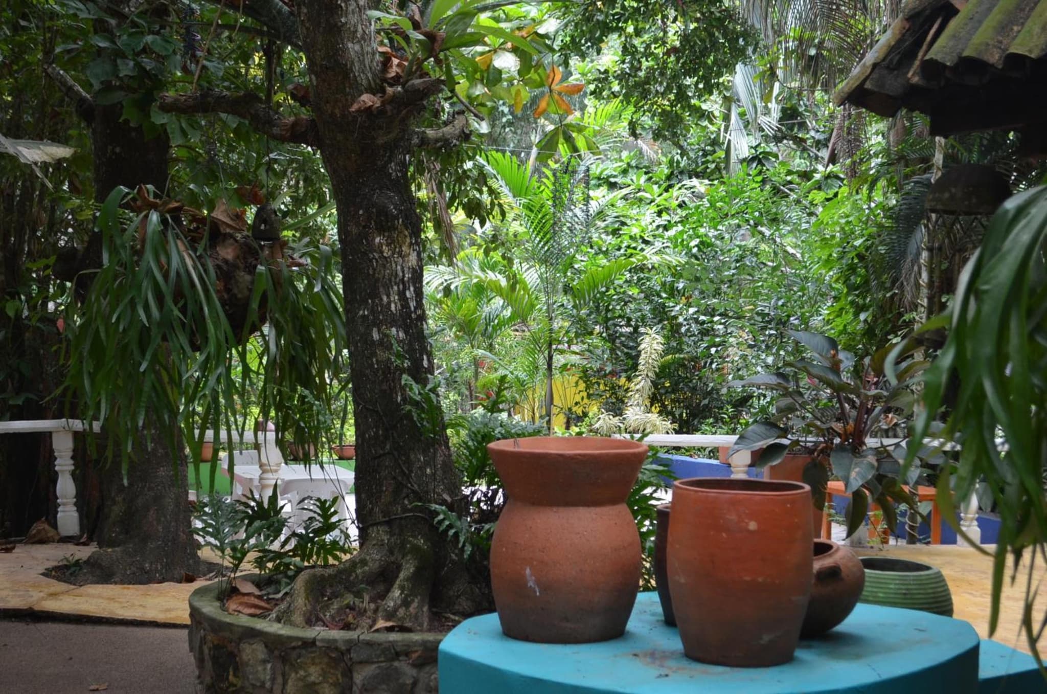 Amanwana Ecofinca photo 2