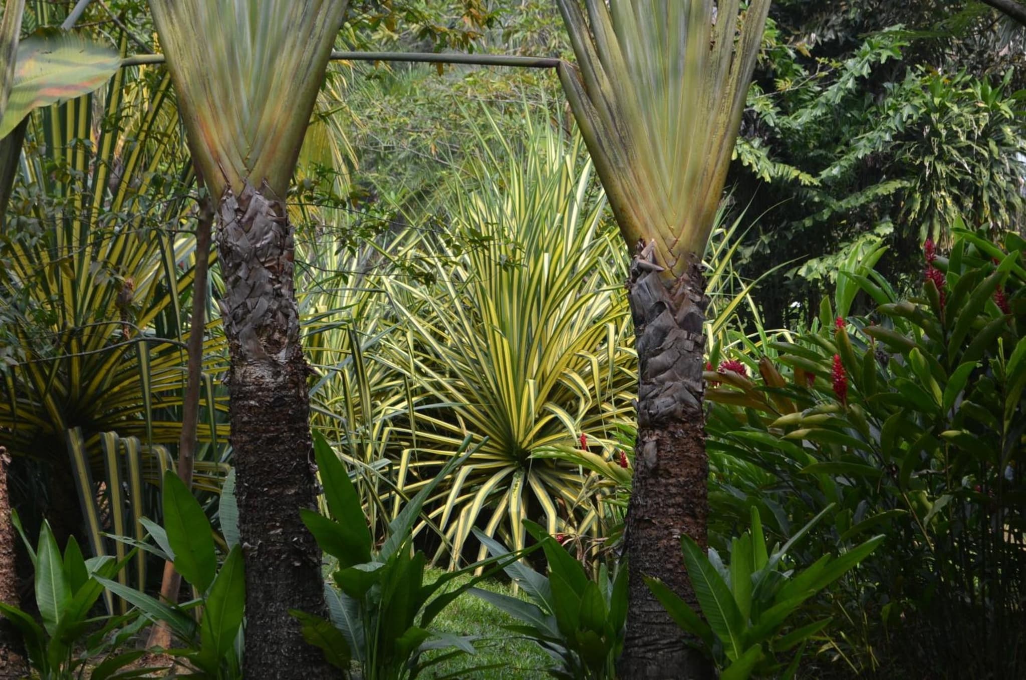 Amanwana Ecofinca photo 5