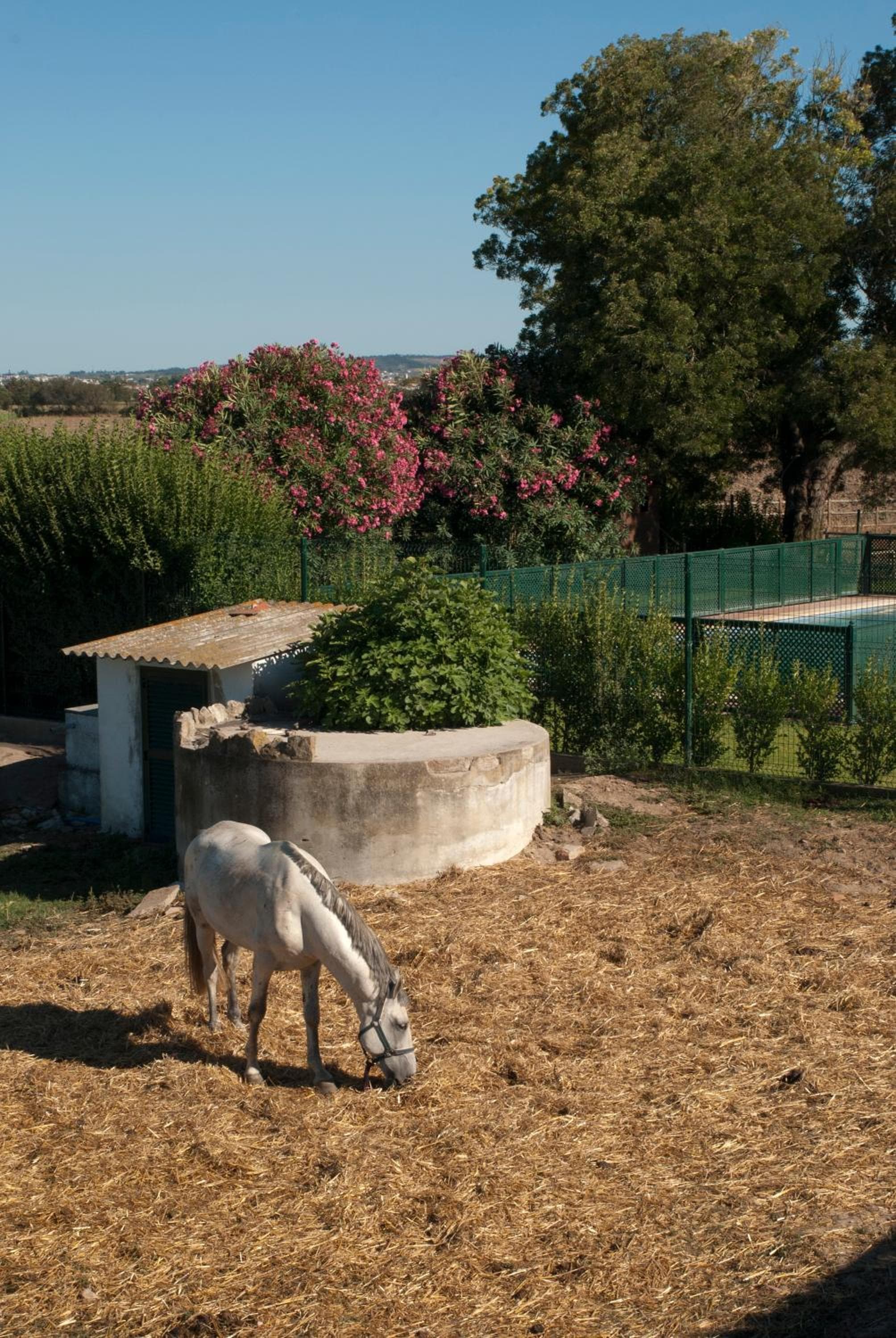 Quinta da Gafaria photo 4