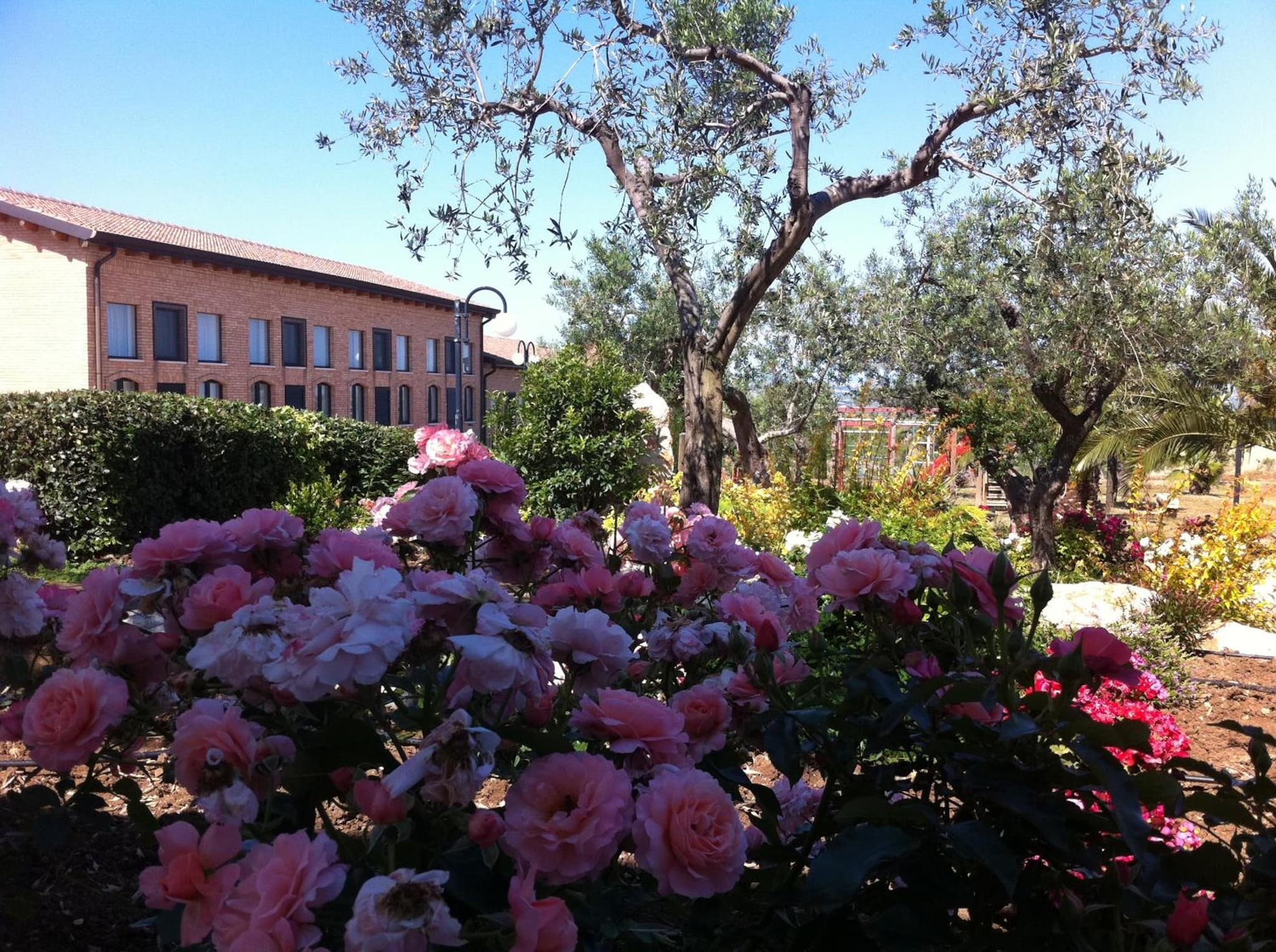 Masseria Casacapanna photo 5