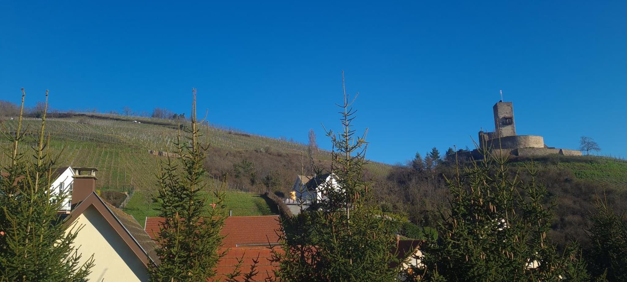 Gîte et chambres d'hôtes Les Framboises photo 4