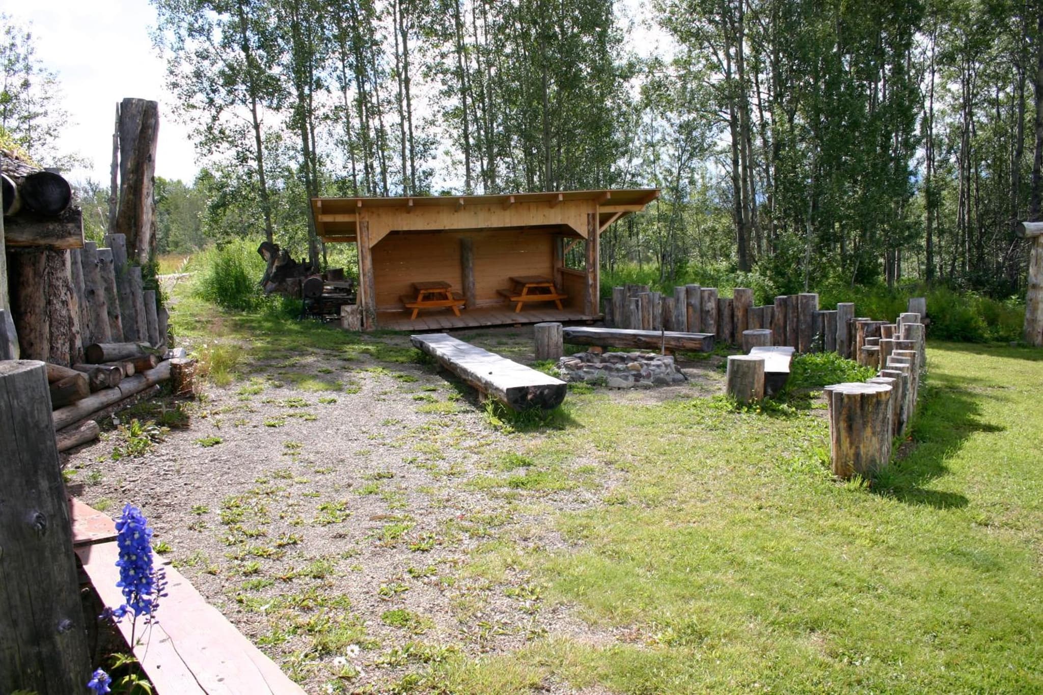 Smithers Driftwood Lodge photo 5