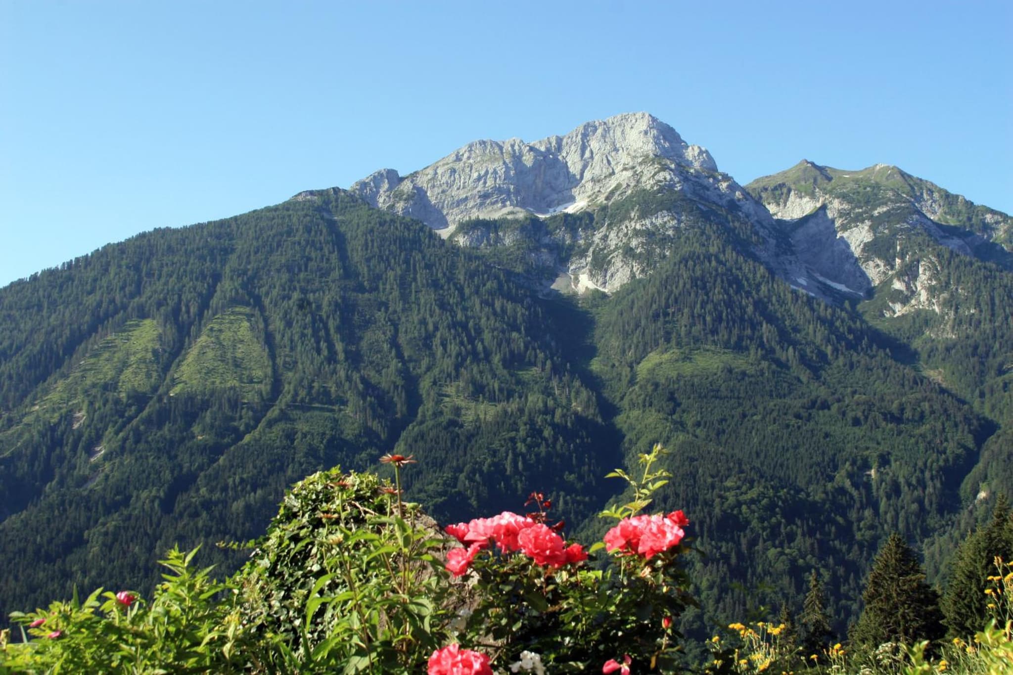Alpenhof Strenge photo 6