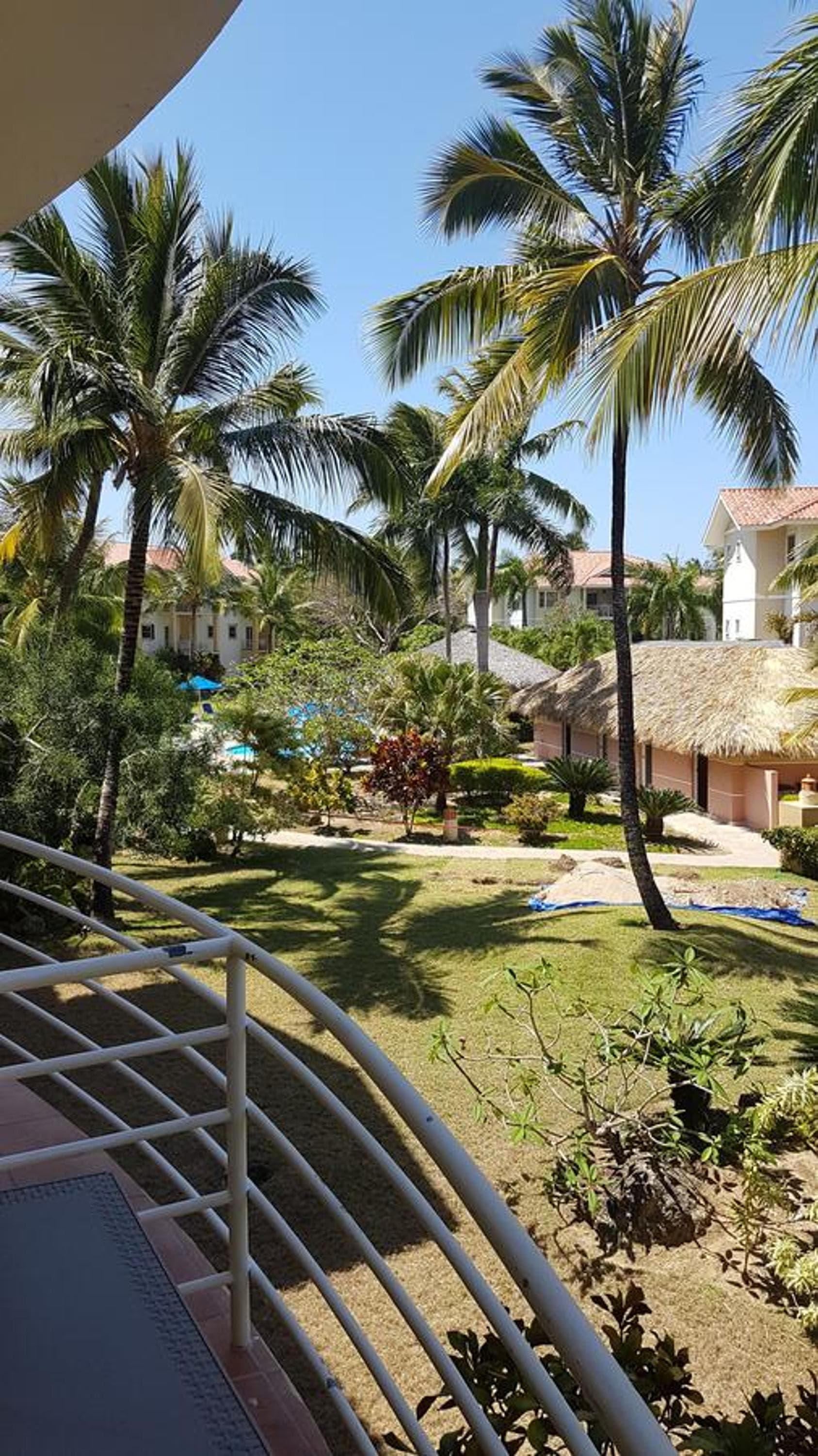 Cozy Garden Oasis Steps to the Beach photo 3
