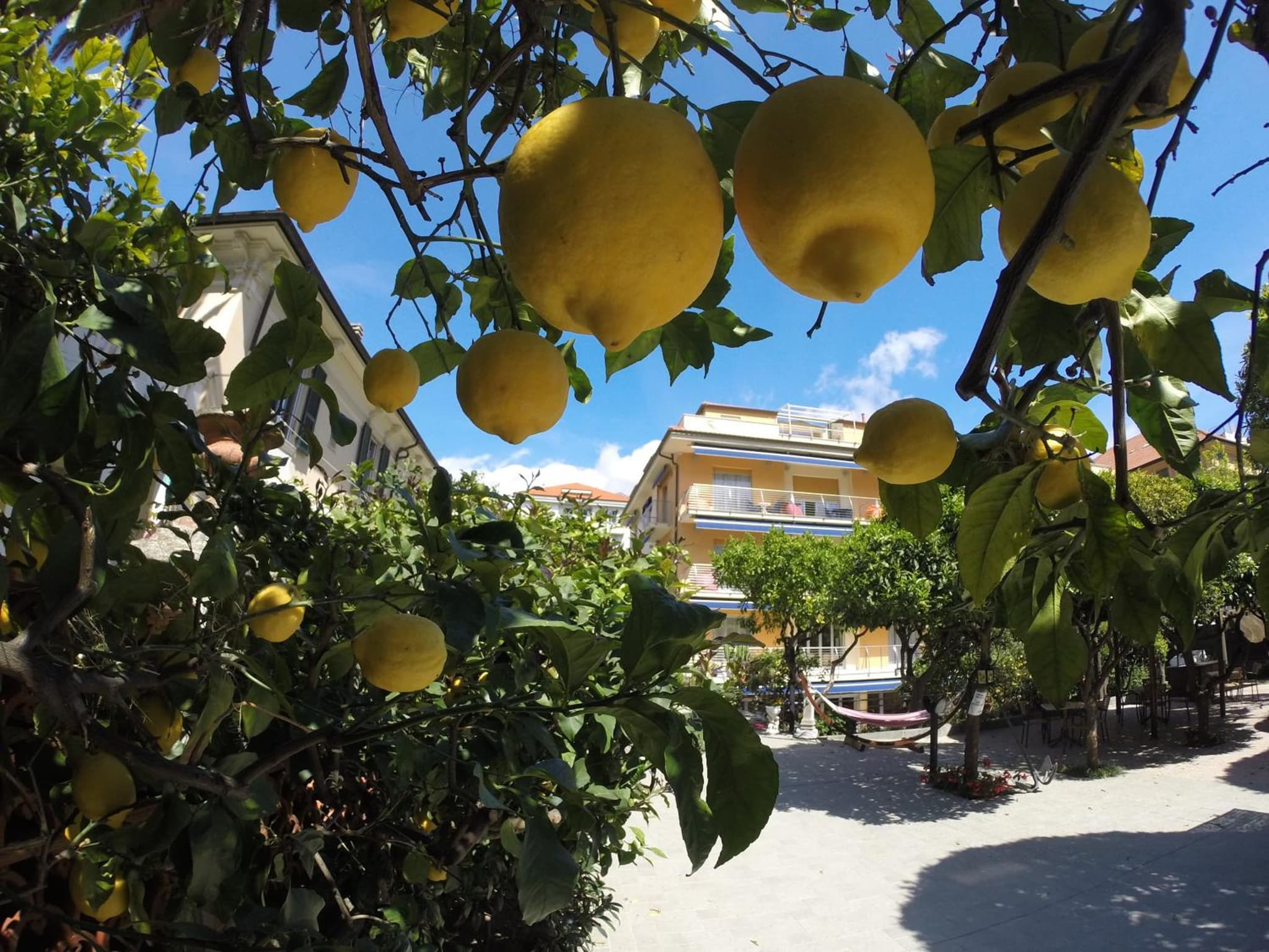 Hotel Villa Delibera photo 7