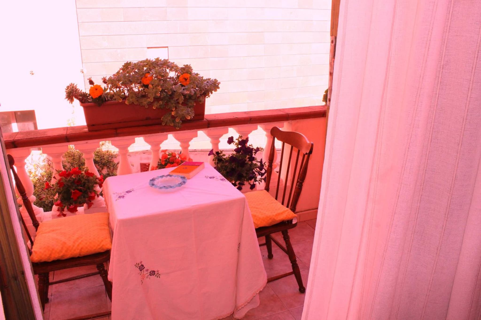 B&B La Pianedda photo 4