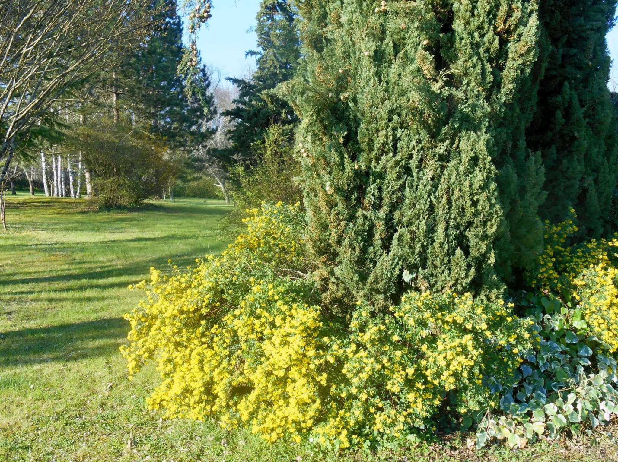 Le Colombier photo 8