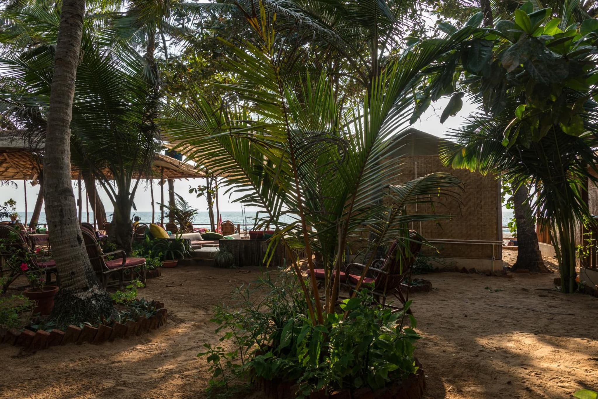 Jardim a Mar photo 7