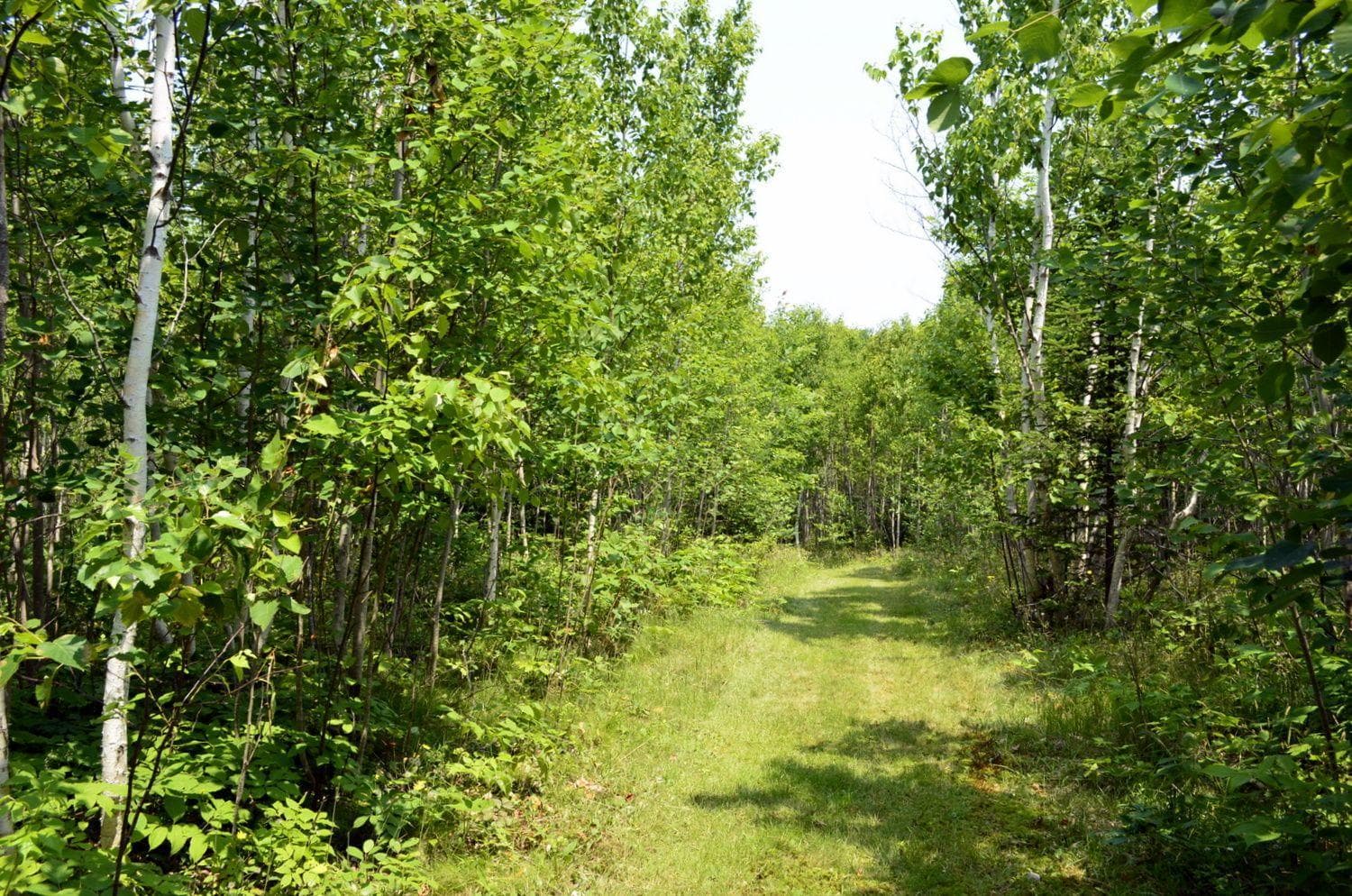 Still Point Lodge photo 3