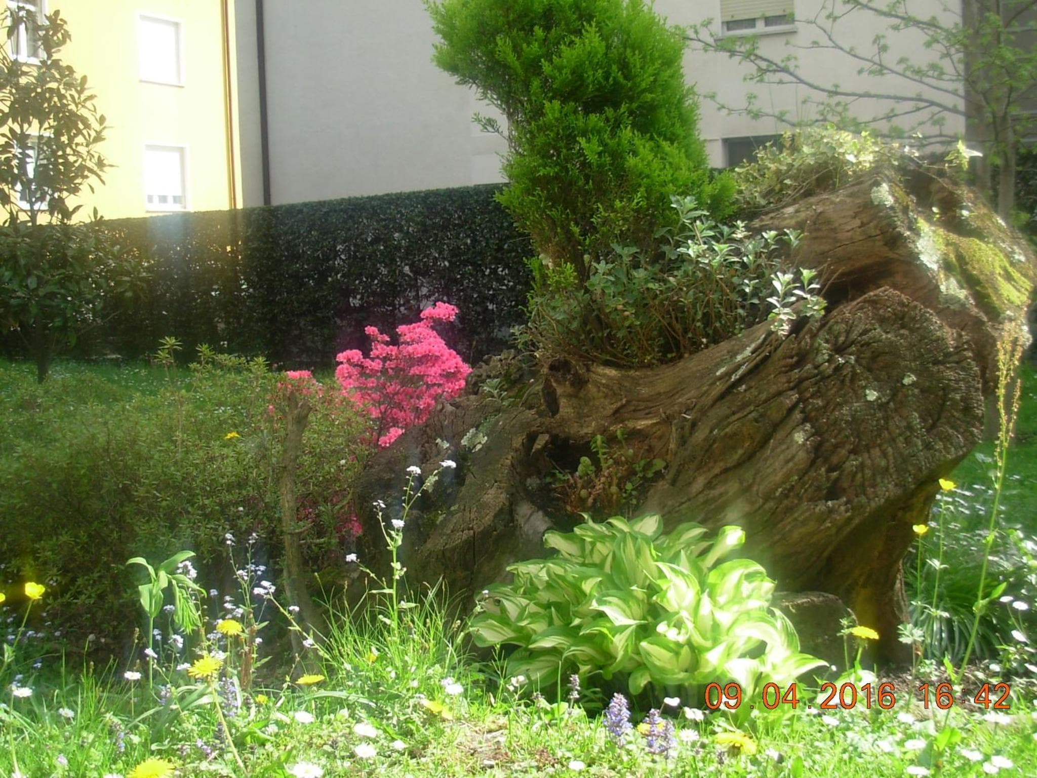 B&B I Pioppi photo 9