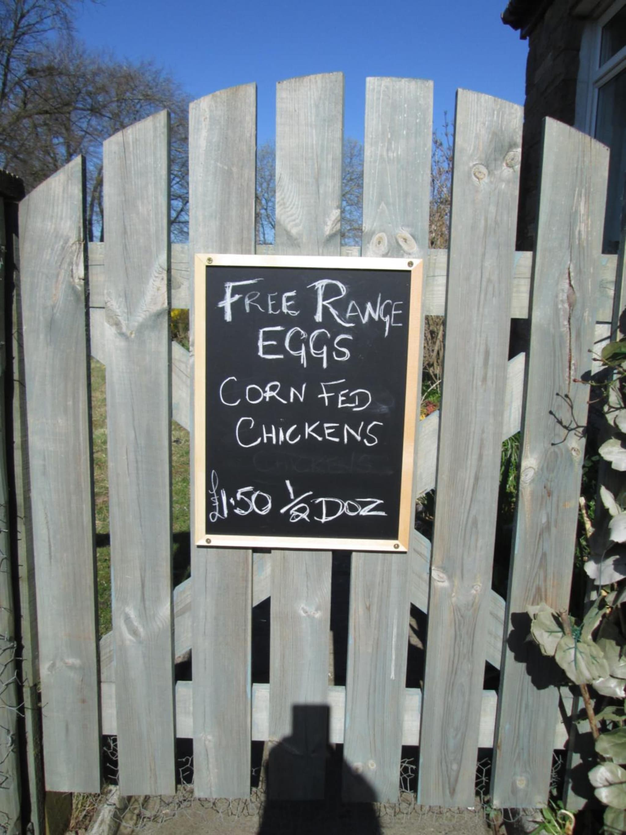 Daleholme photo 8