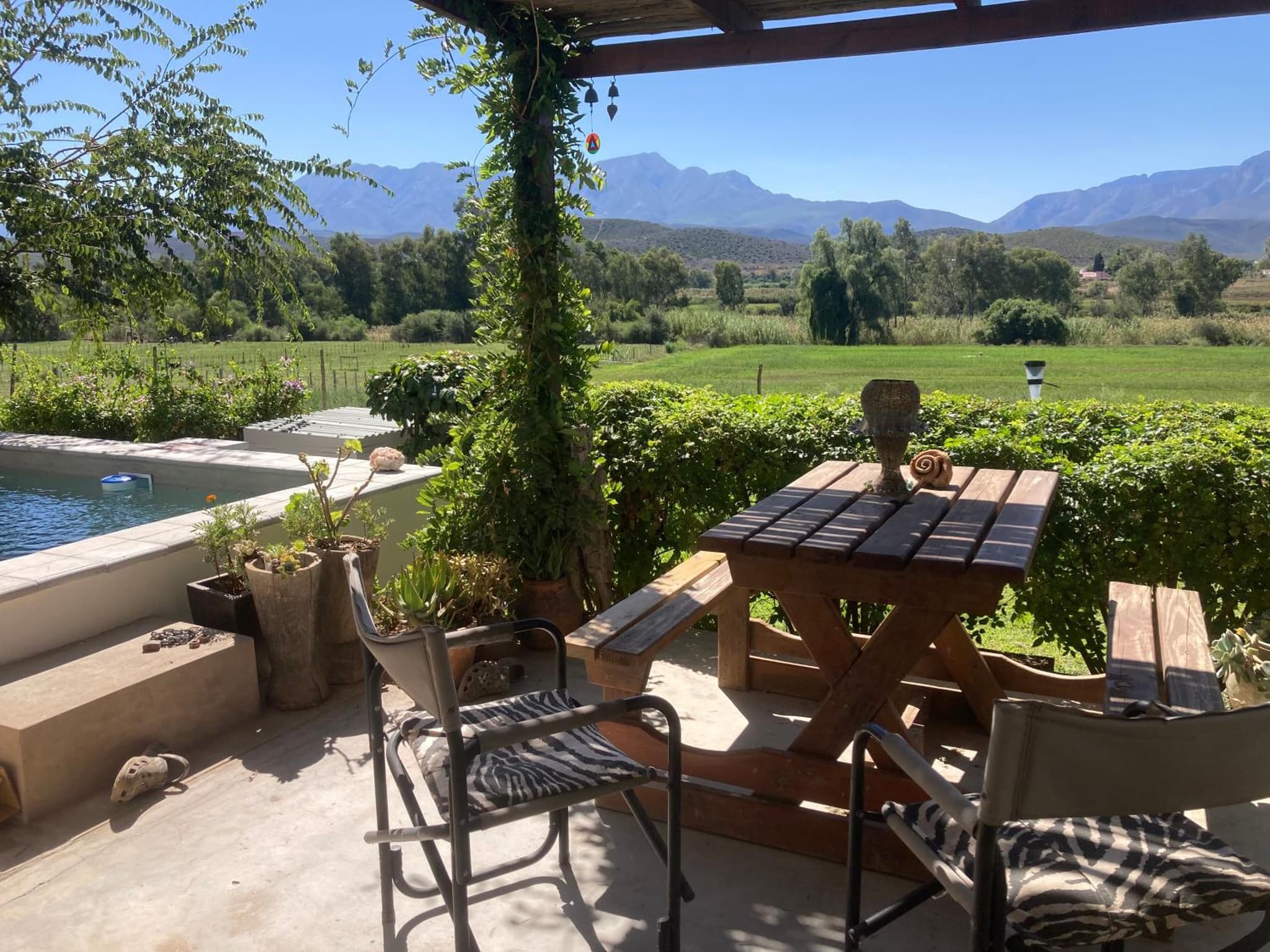Pepper Tree Cottage photo 8