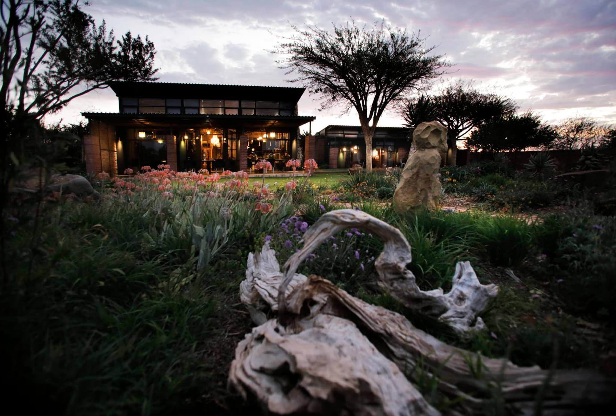 Liedjiesbos Urban Olive Farm Accommodation