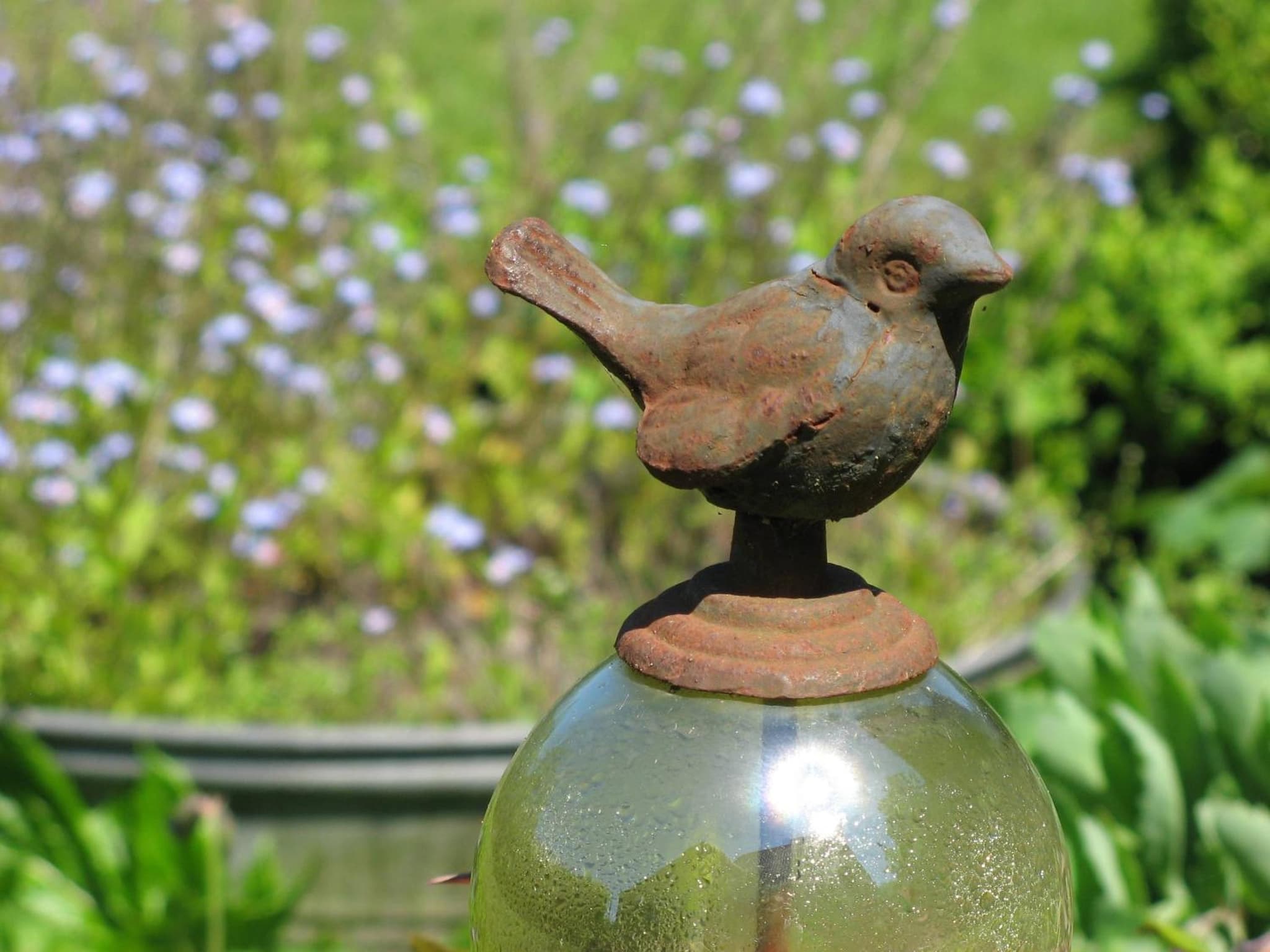 Jardin de Lieze photo 5