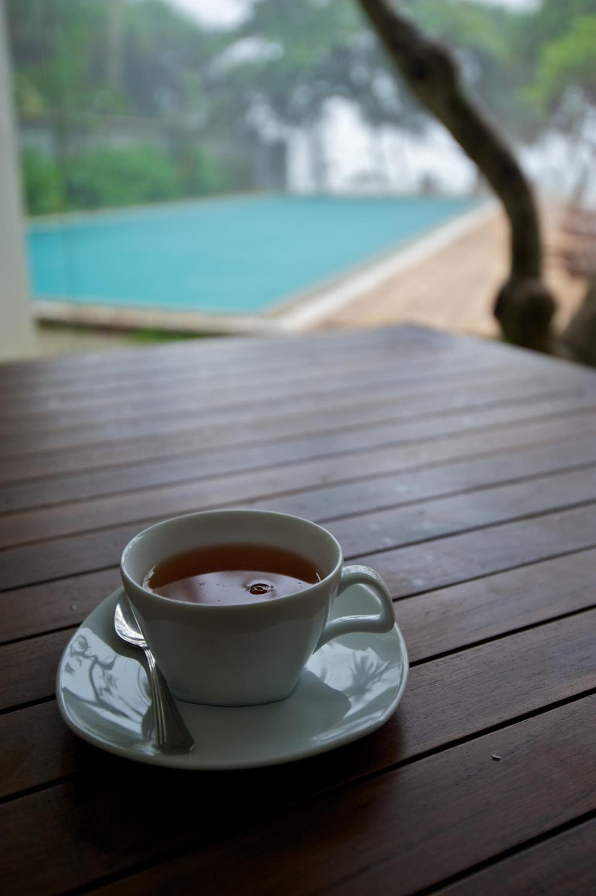 Roman Beach Hotel - Hikkaduwa photo 2