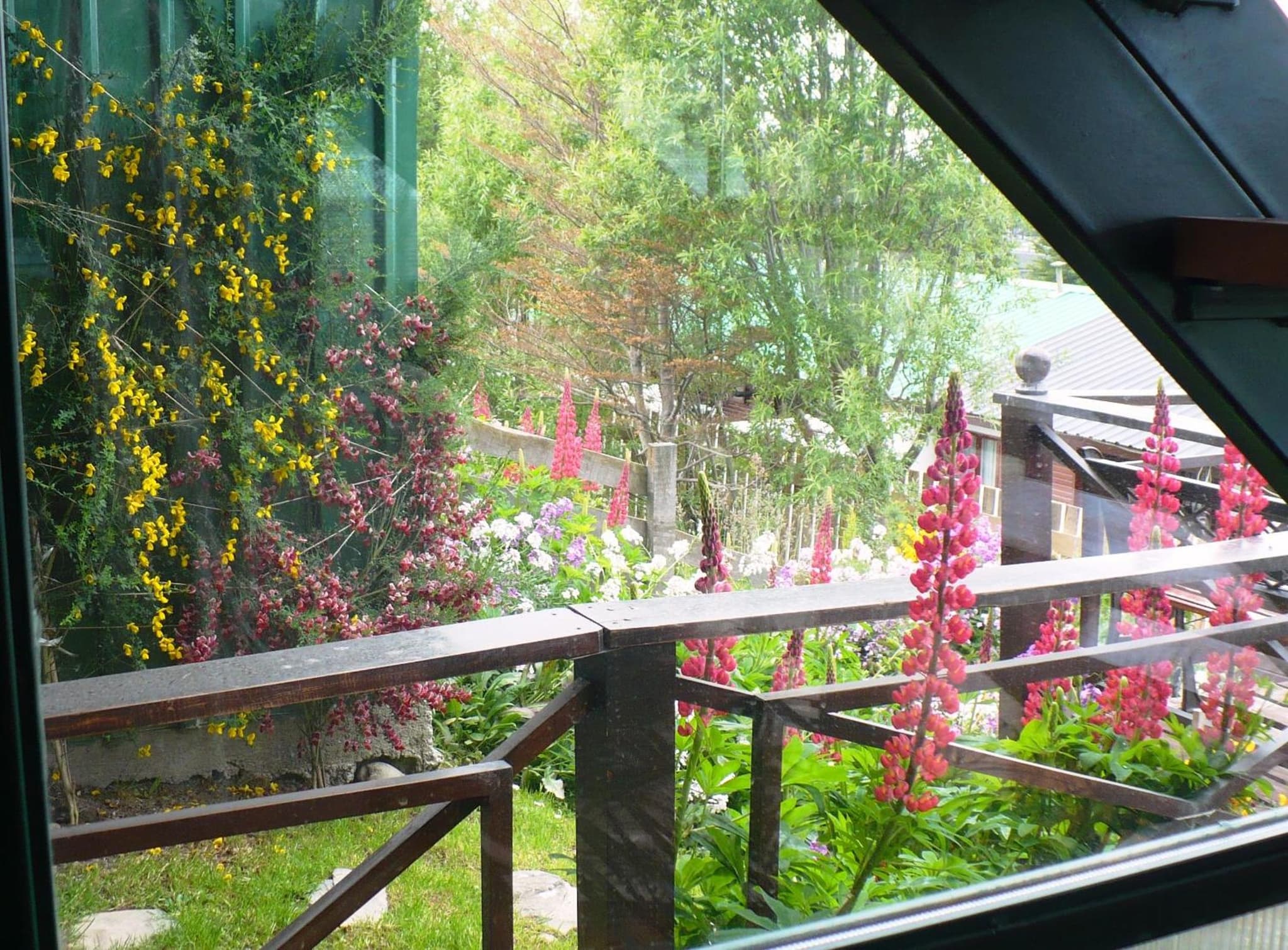 Tango B&B photo 3