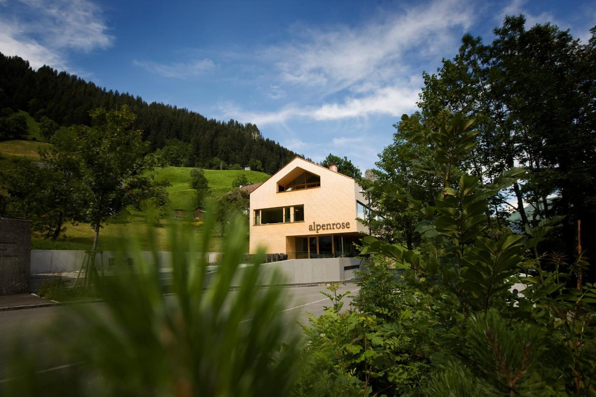 Hotel Alpenrose Ebnit photo 6