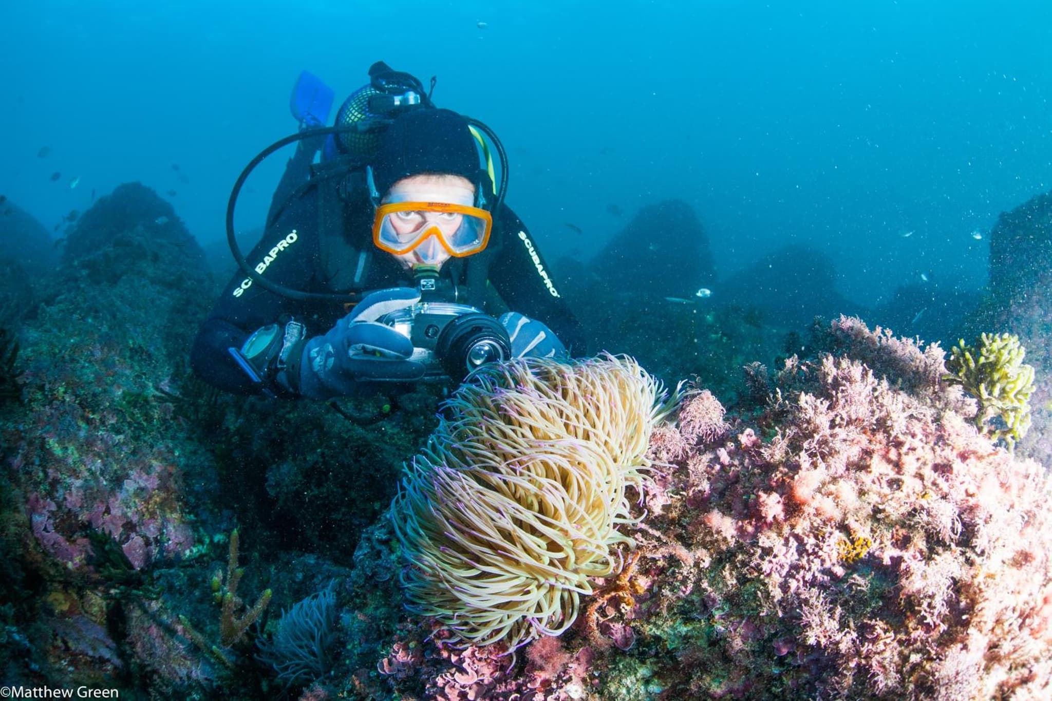PuraVida Divehouse photo 8