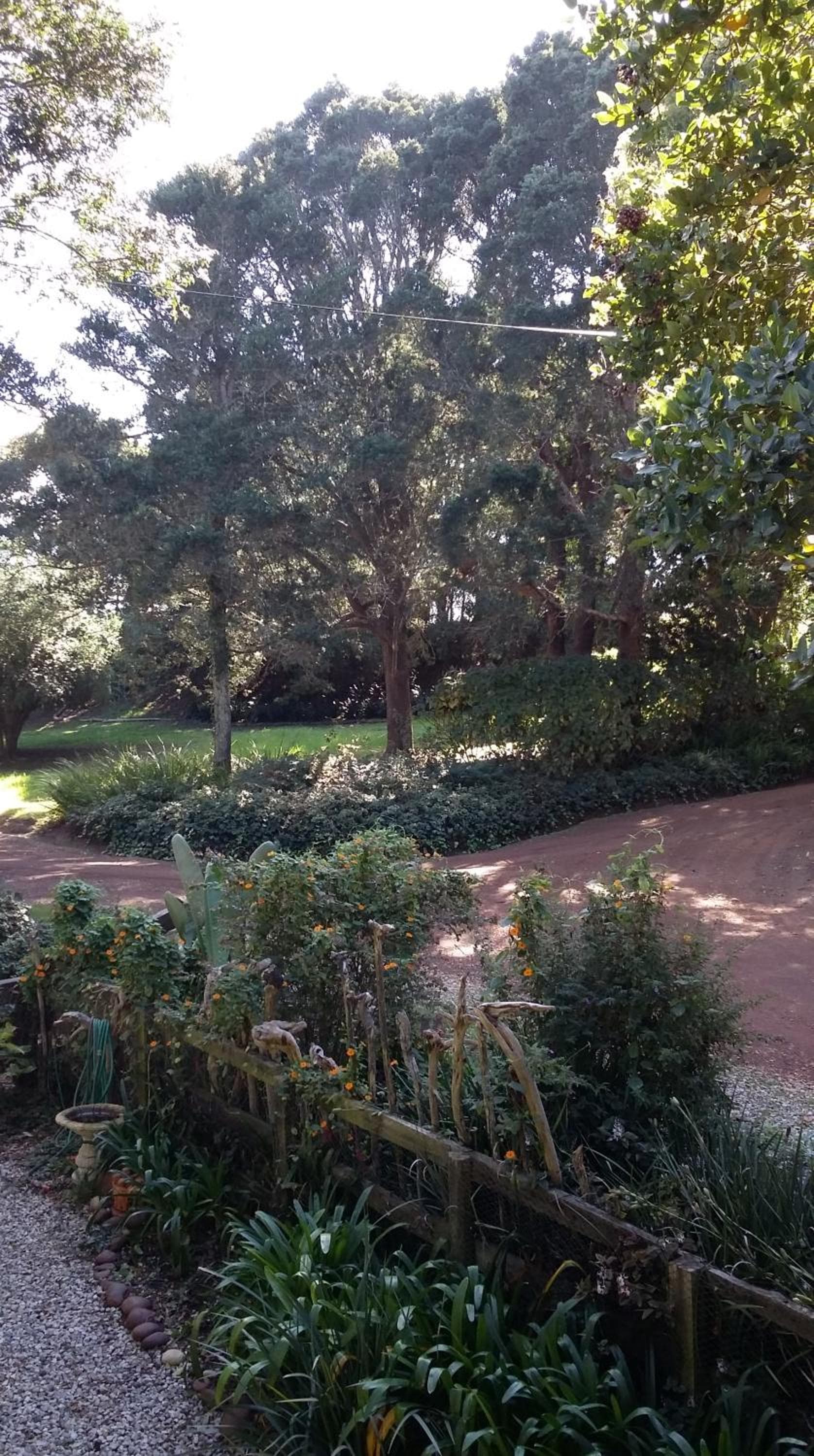 Treehouse Cottage photo 7