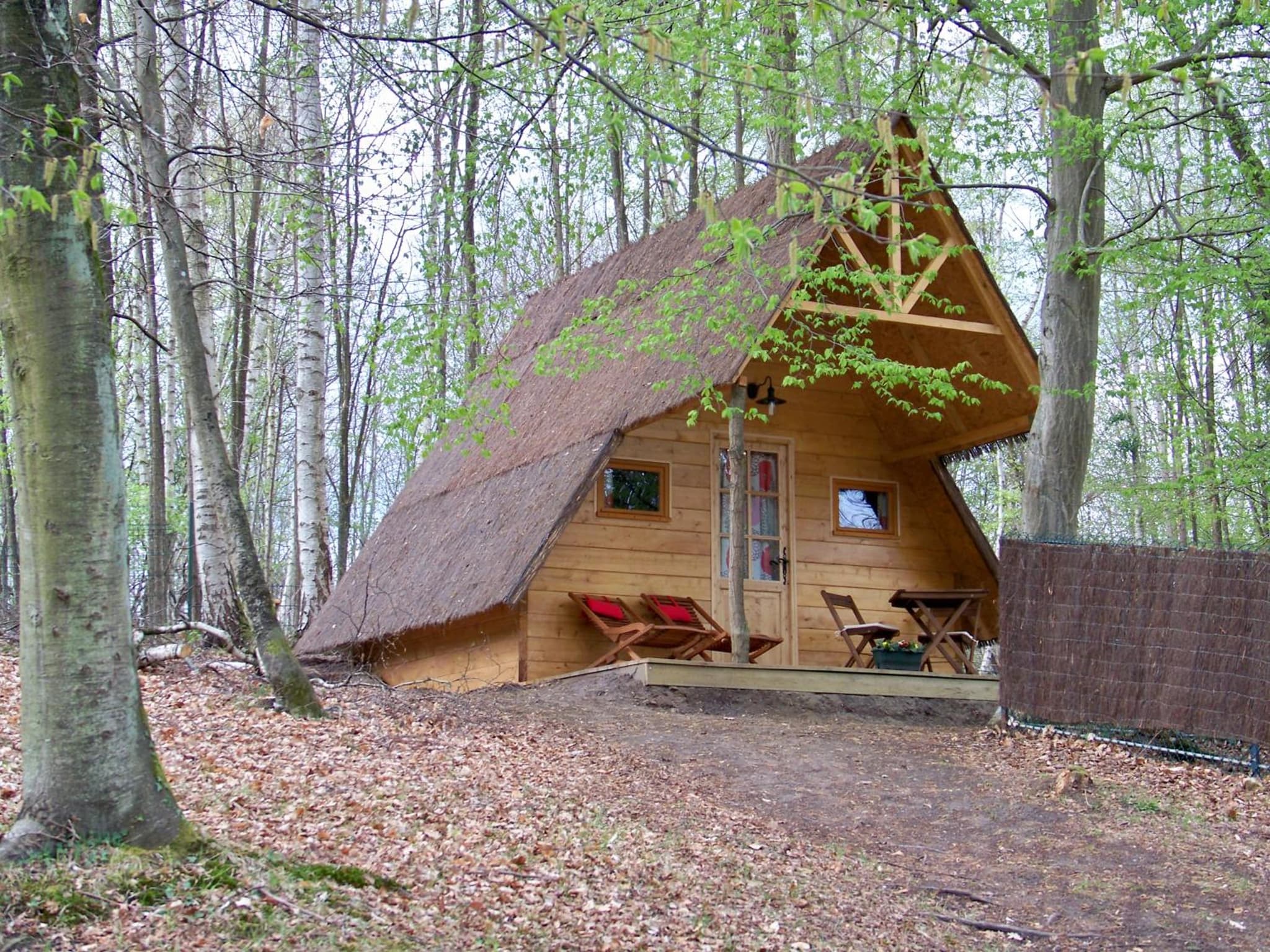 Le Coeur De La Foret photo 9