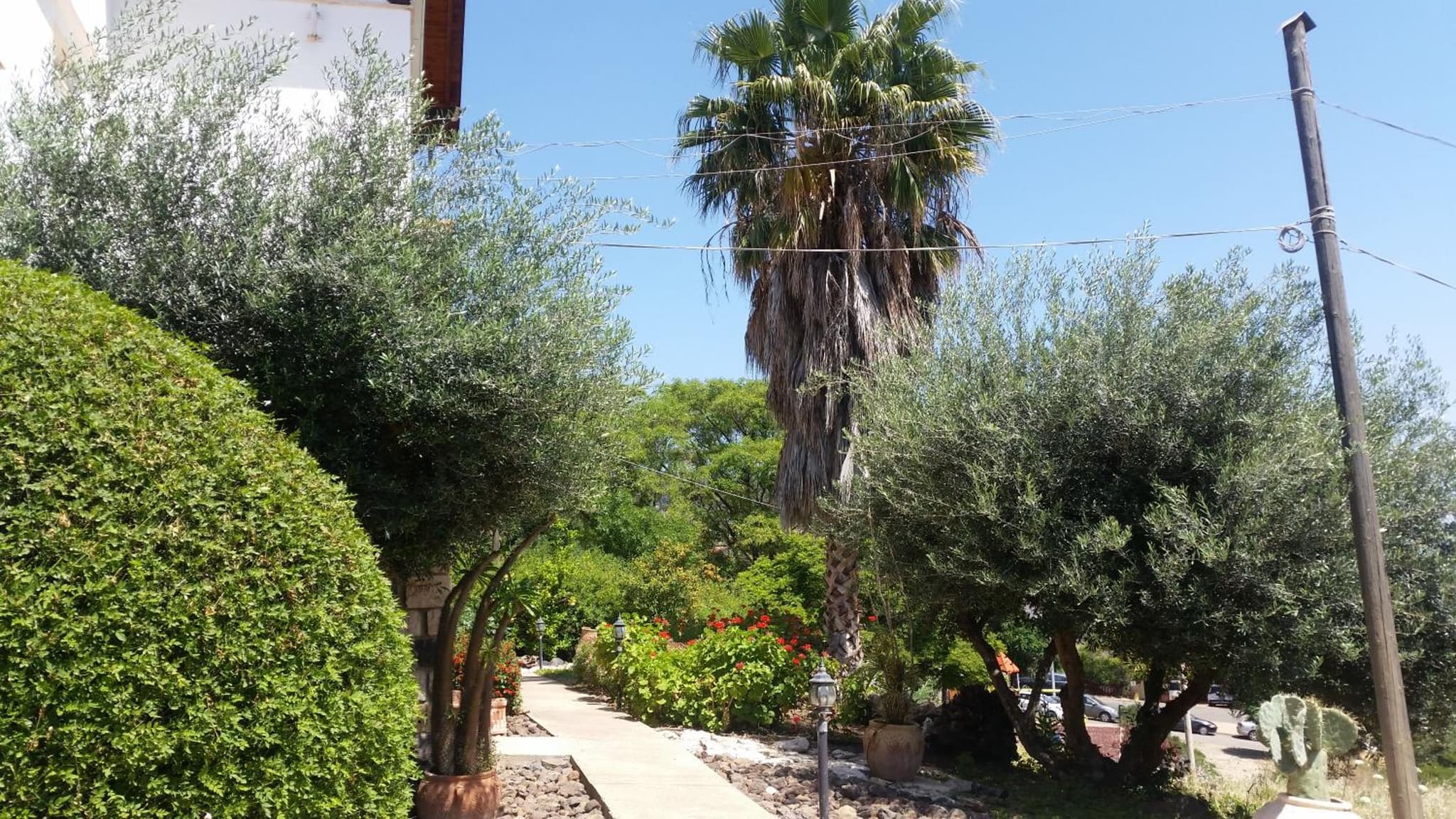 Shwartzimmer photo 4