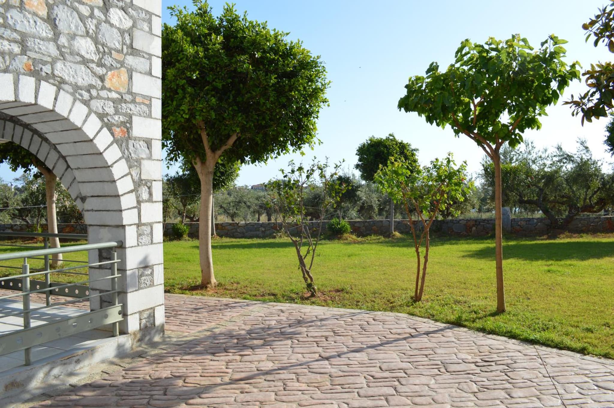 Nefeli Apartments photo 4