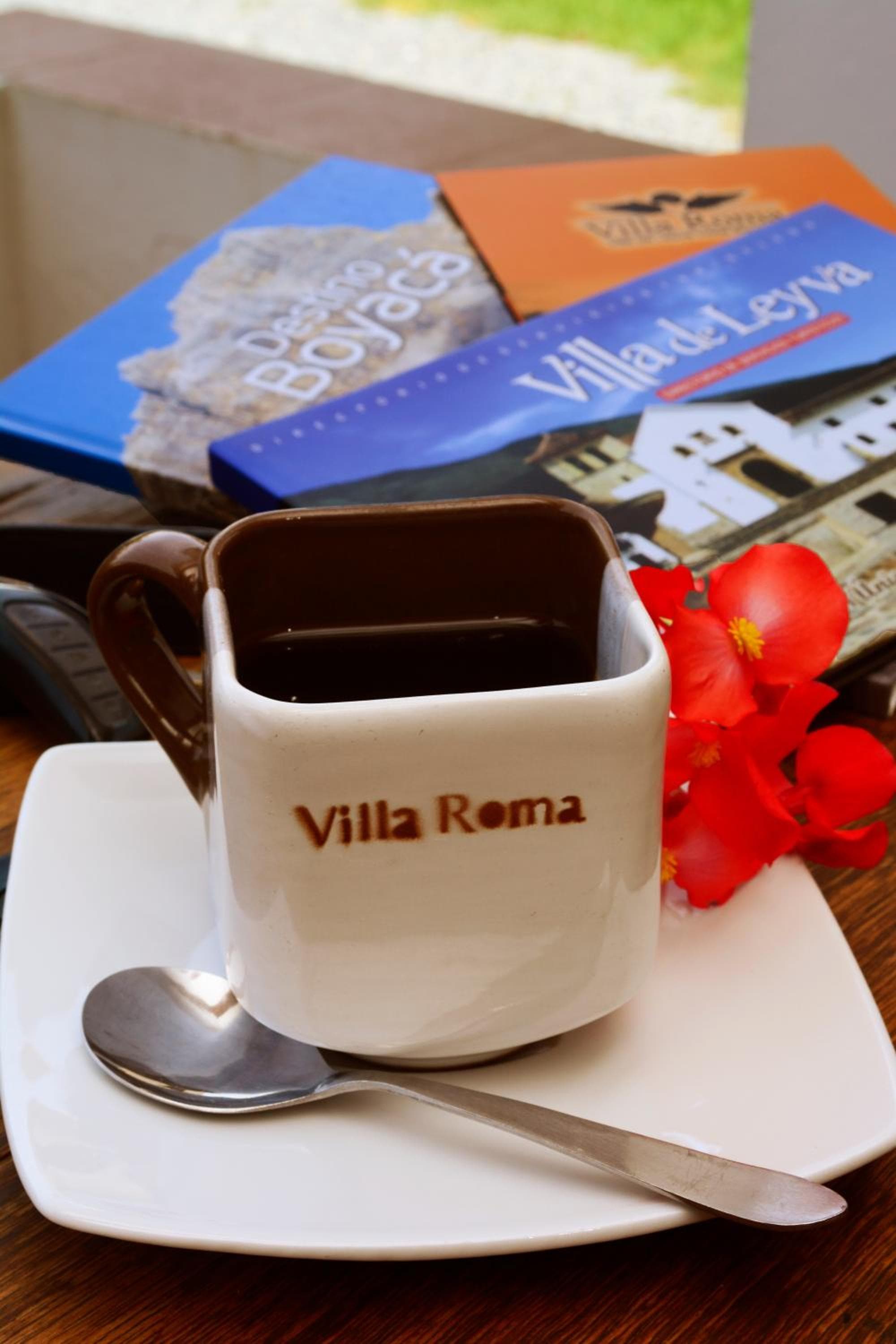 Hotel Boutique Villa Roma photo 5