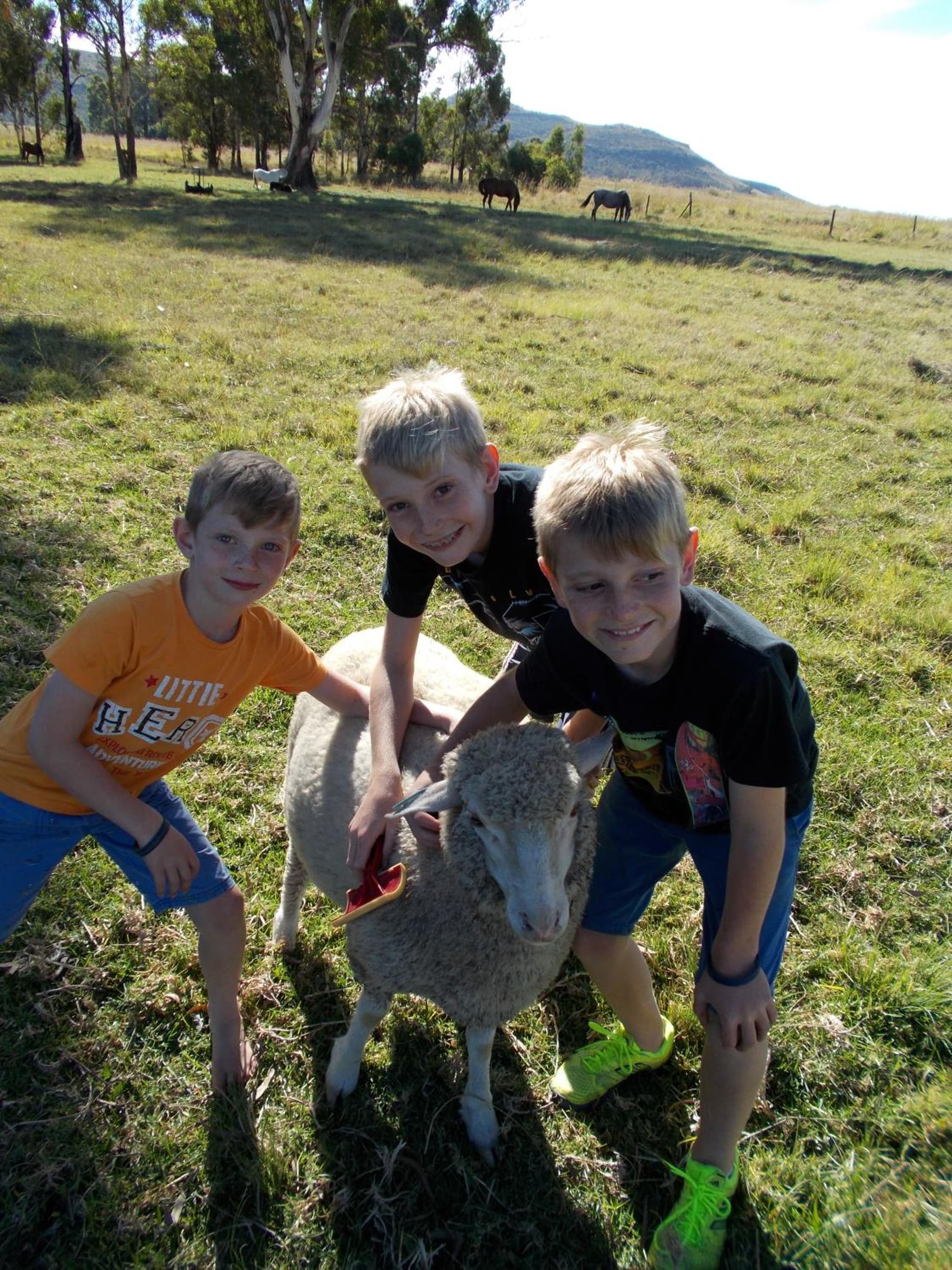 Forellenhof Guest Farm photo 6