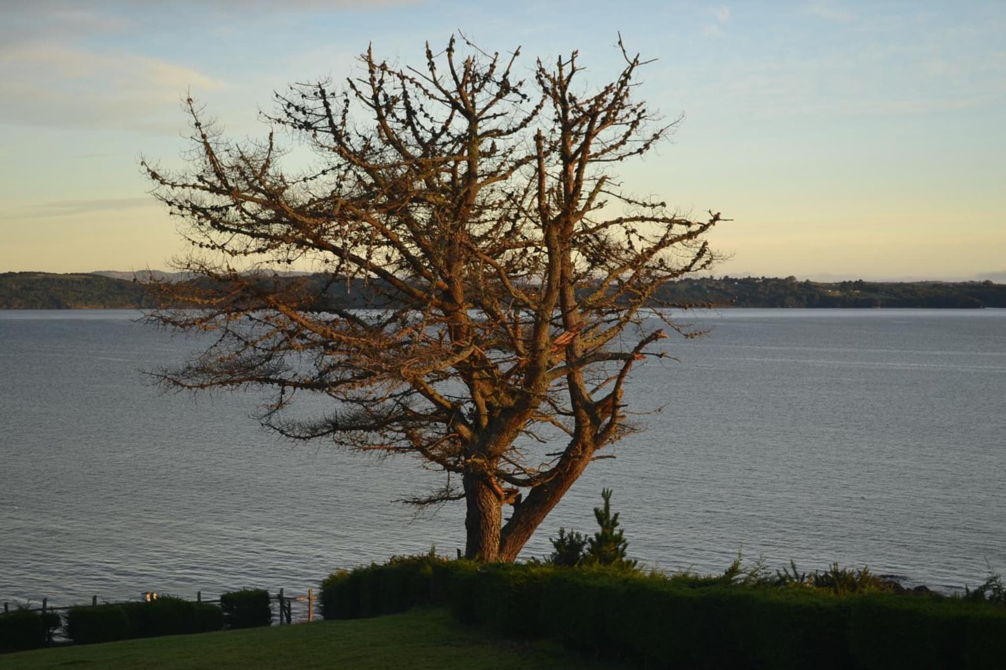 Panamericana Hotel Ancud photo 3