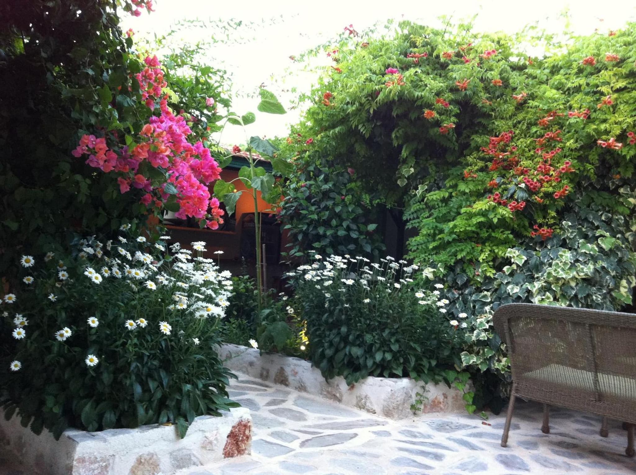 Dardanos Hotel photo 9