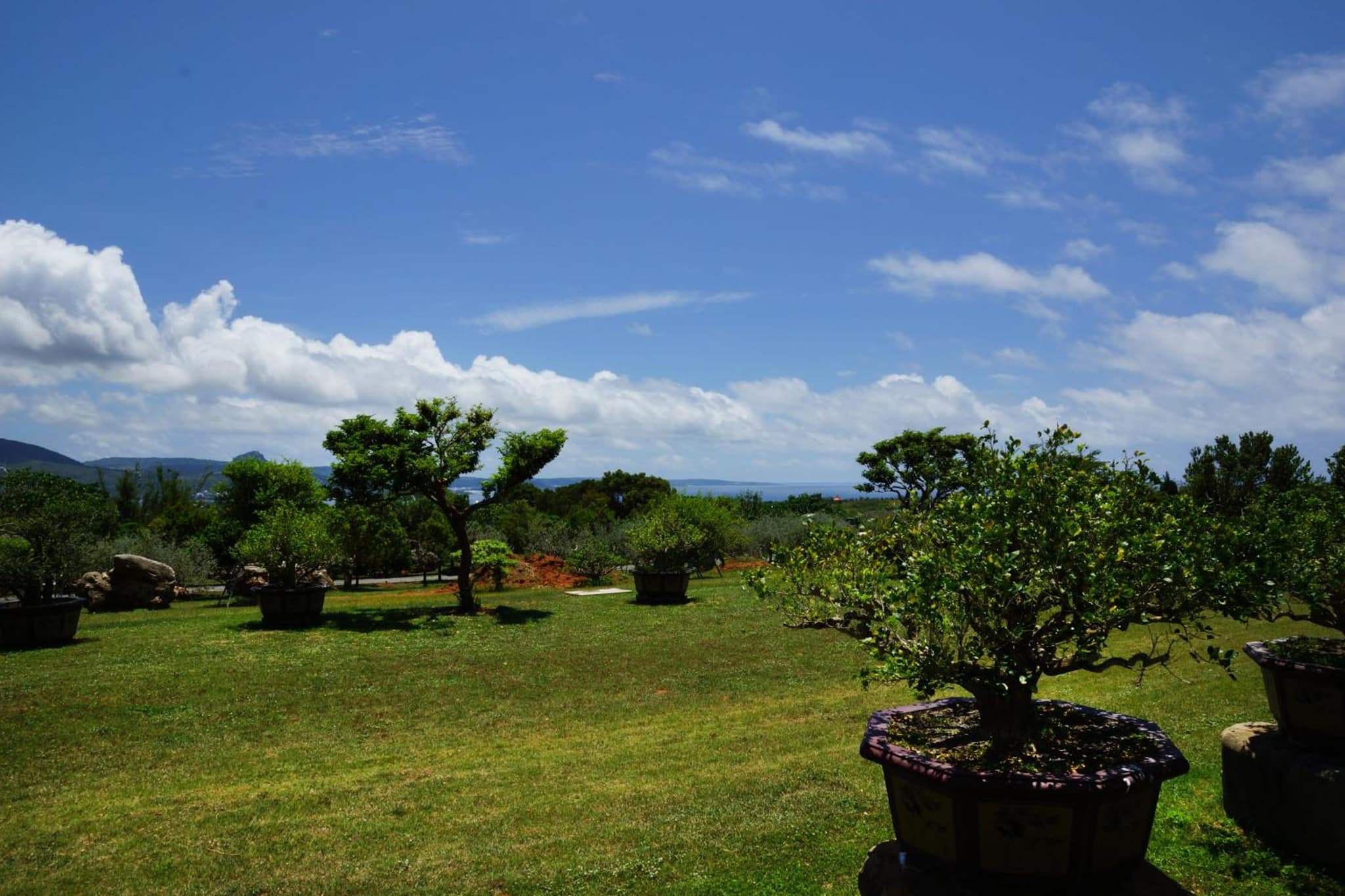 Coral B&B photo 8