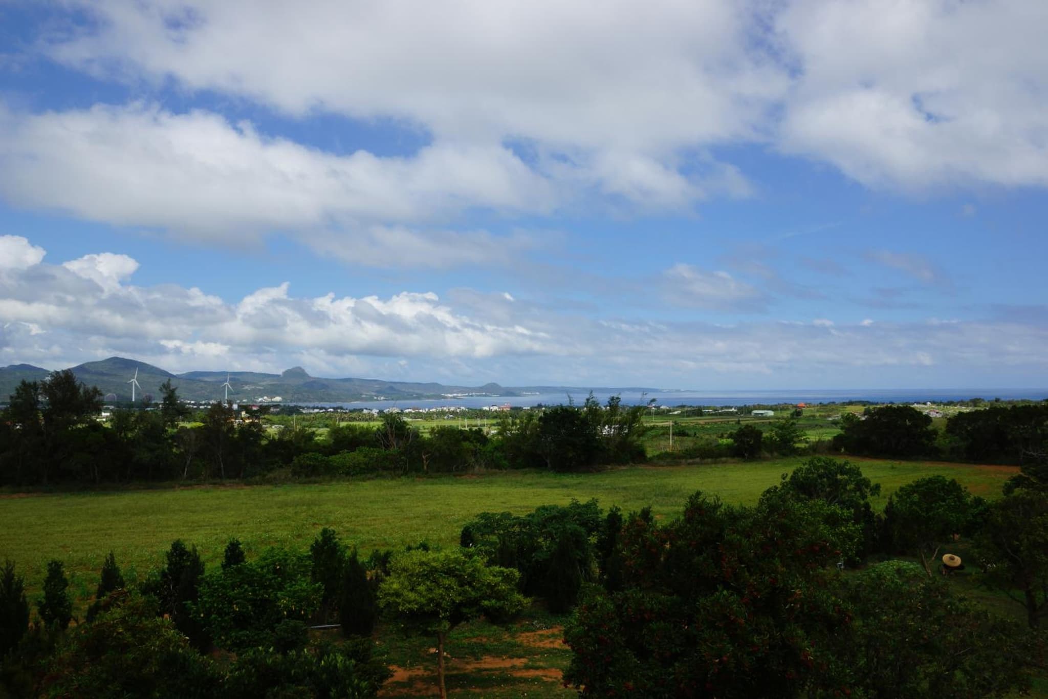 Coral B&B photo 6