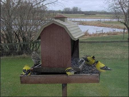 Fairmount Bed & Breakfast photo 7