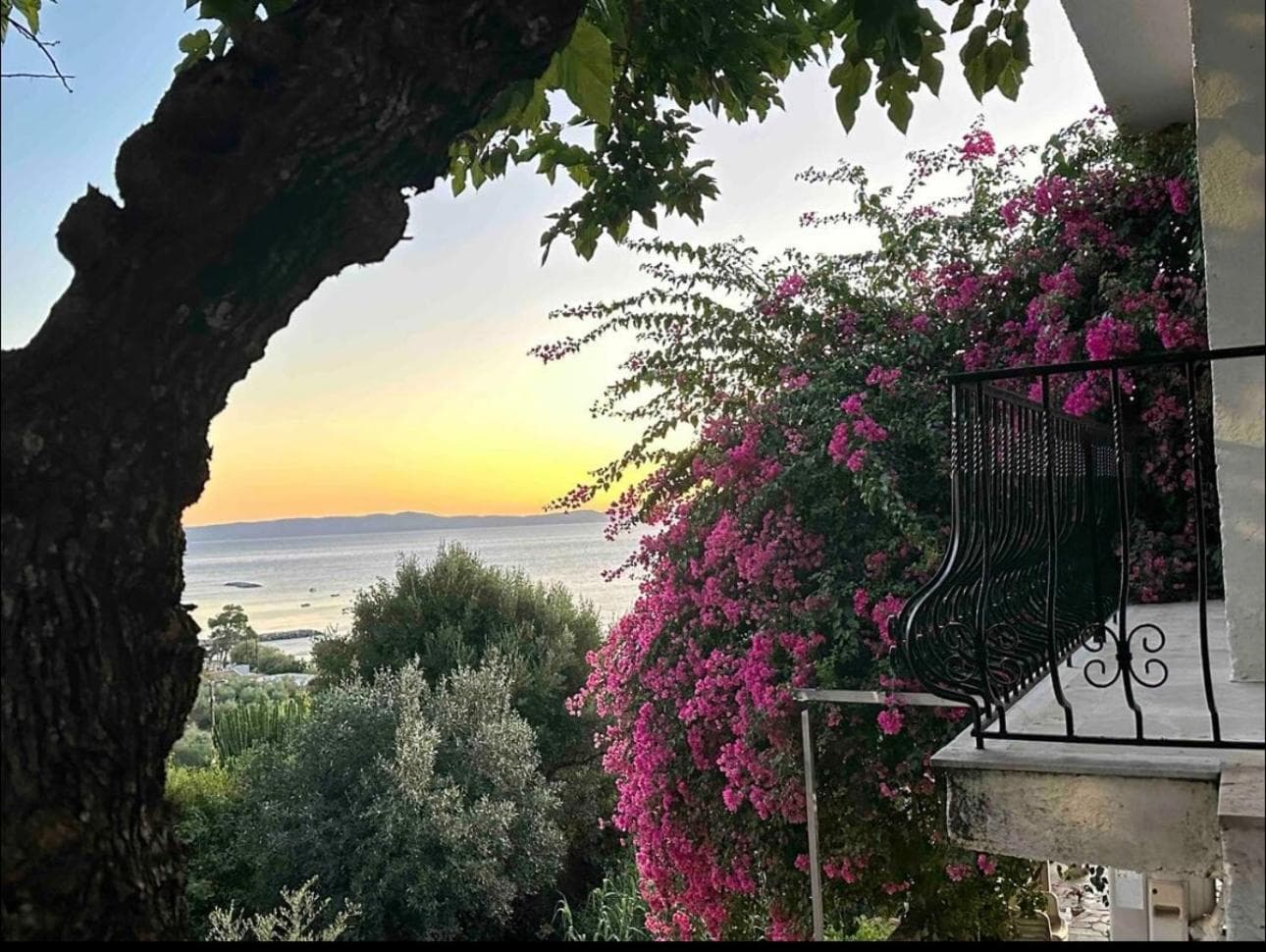 Villa pinelopi photo 4