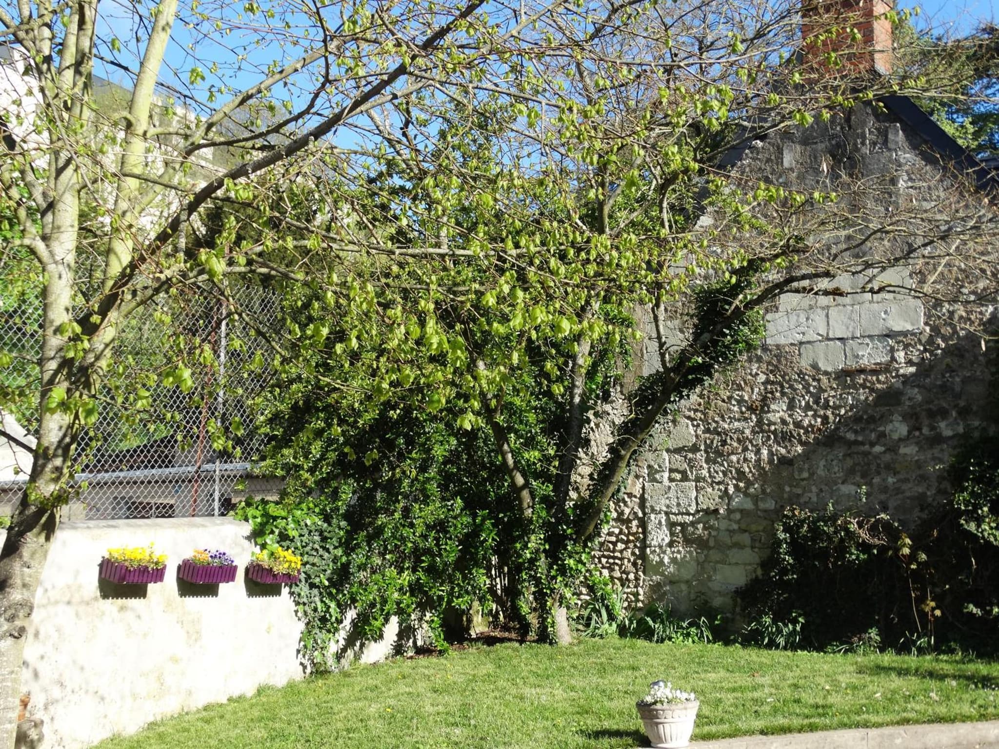 Castel Fleuri photo 3